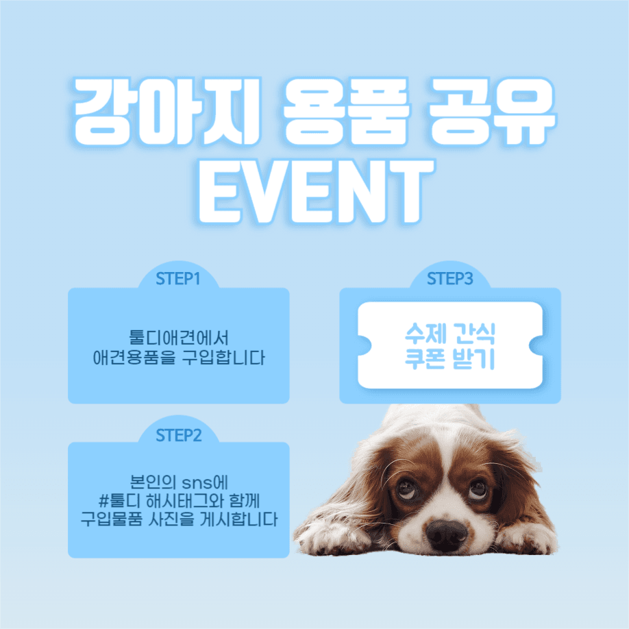 강아지 간식 1+1 이벤트 인스타
