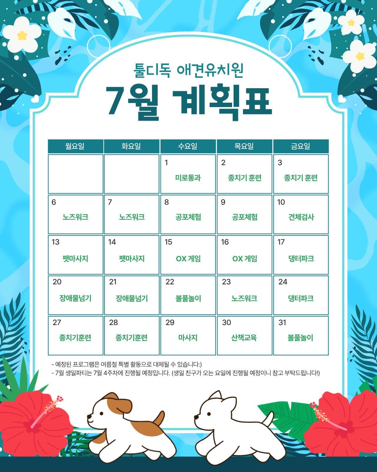 애견유치원 계획표