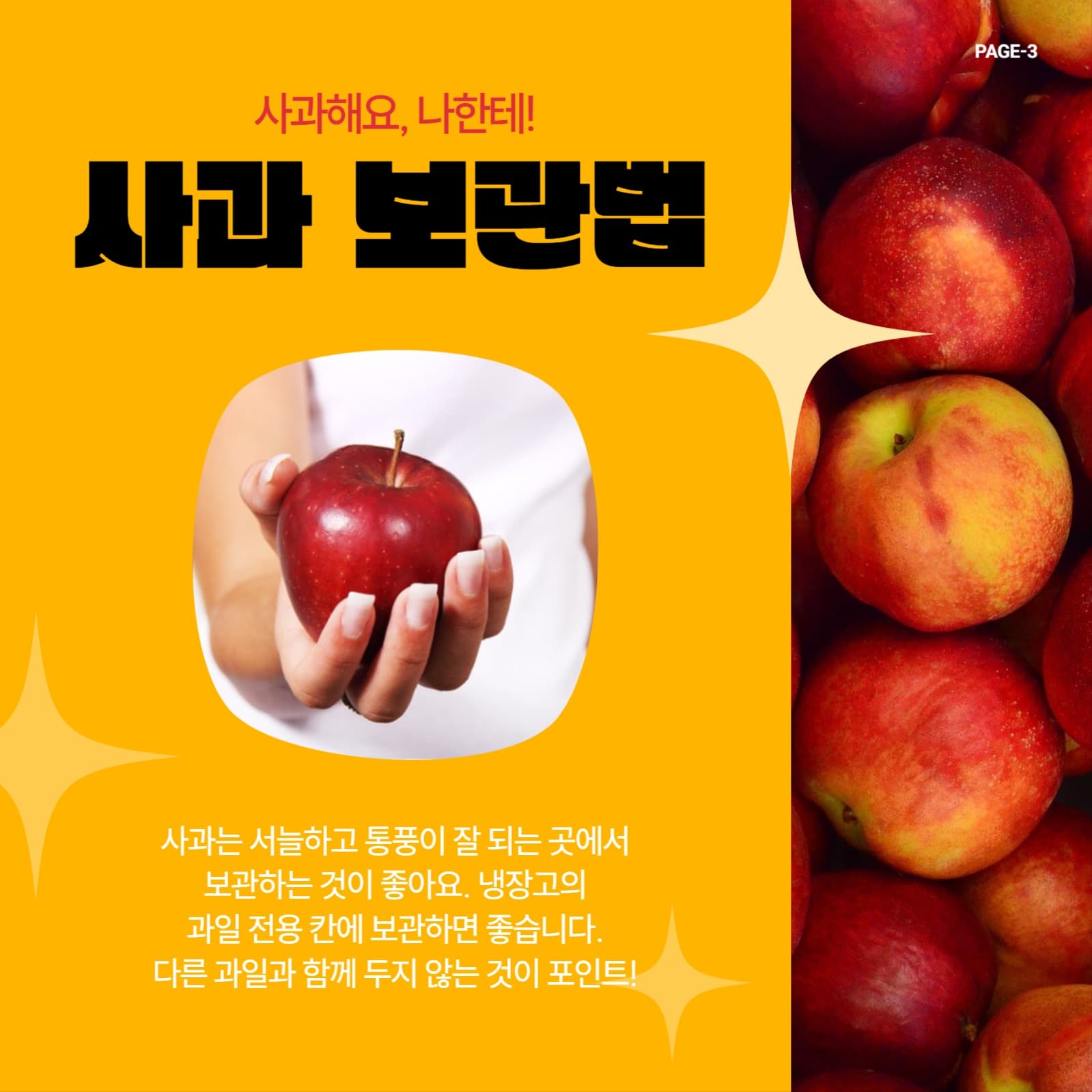 정보전달용 카드뉴스