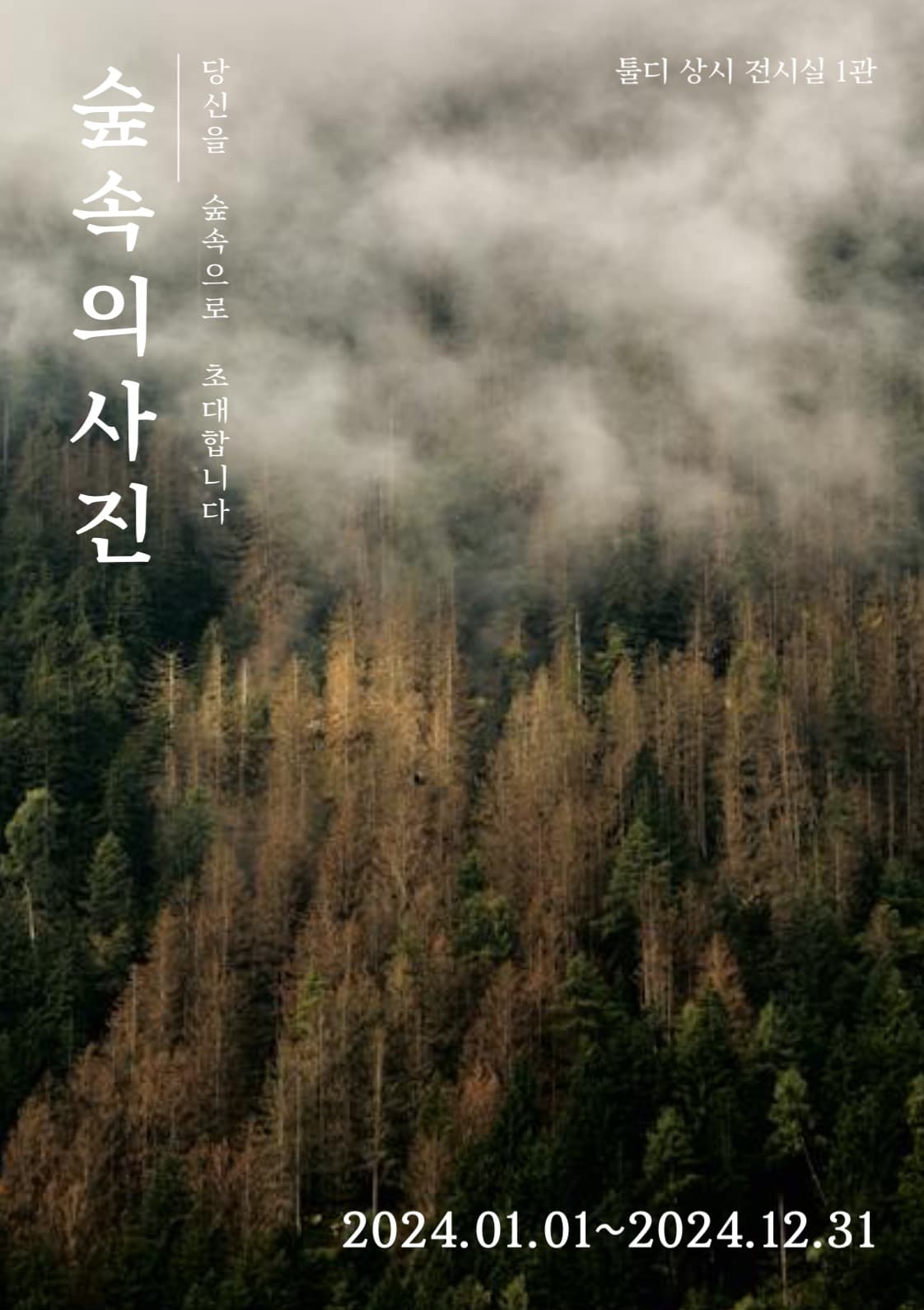 숲속의 사진