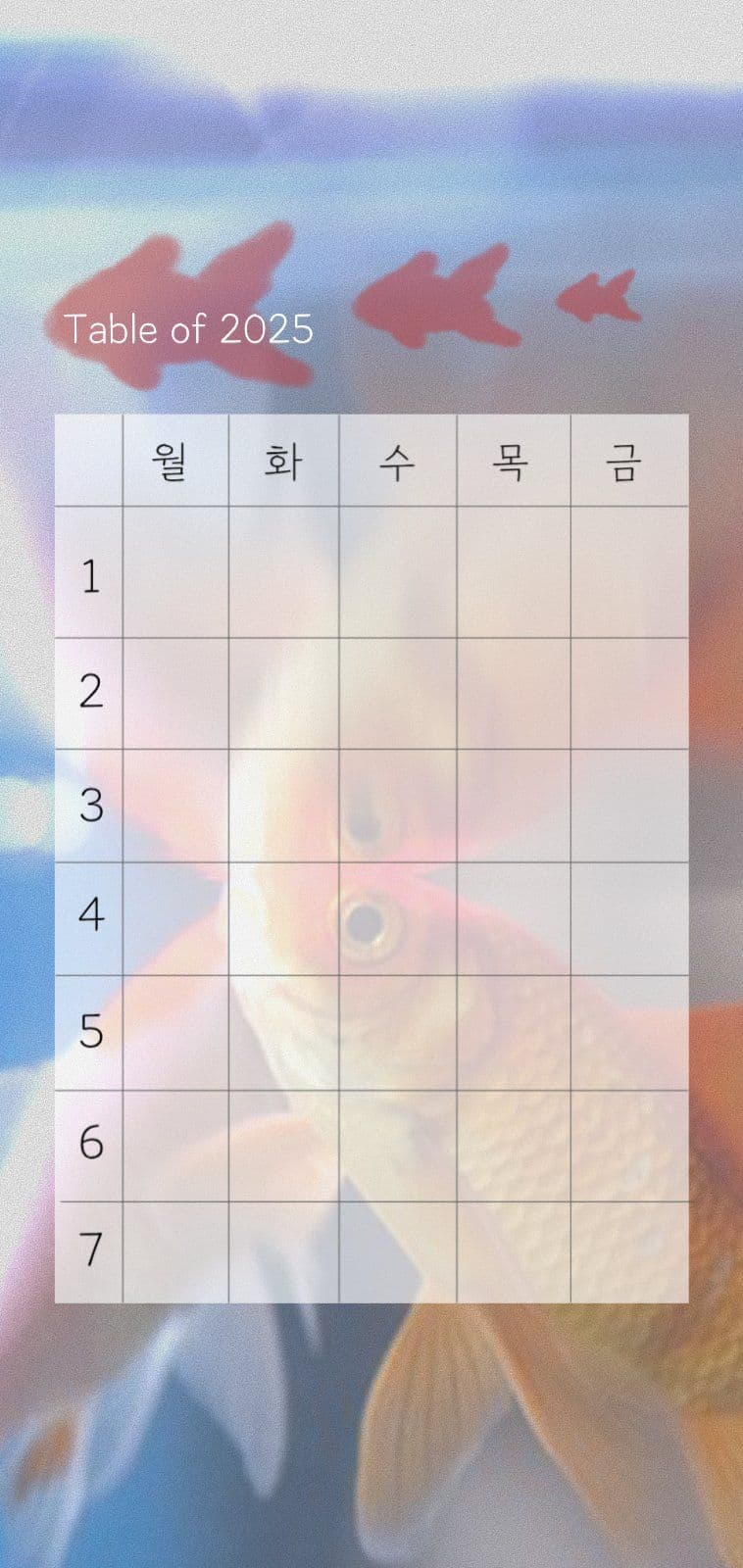 금붕어 시간표