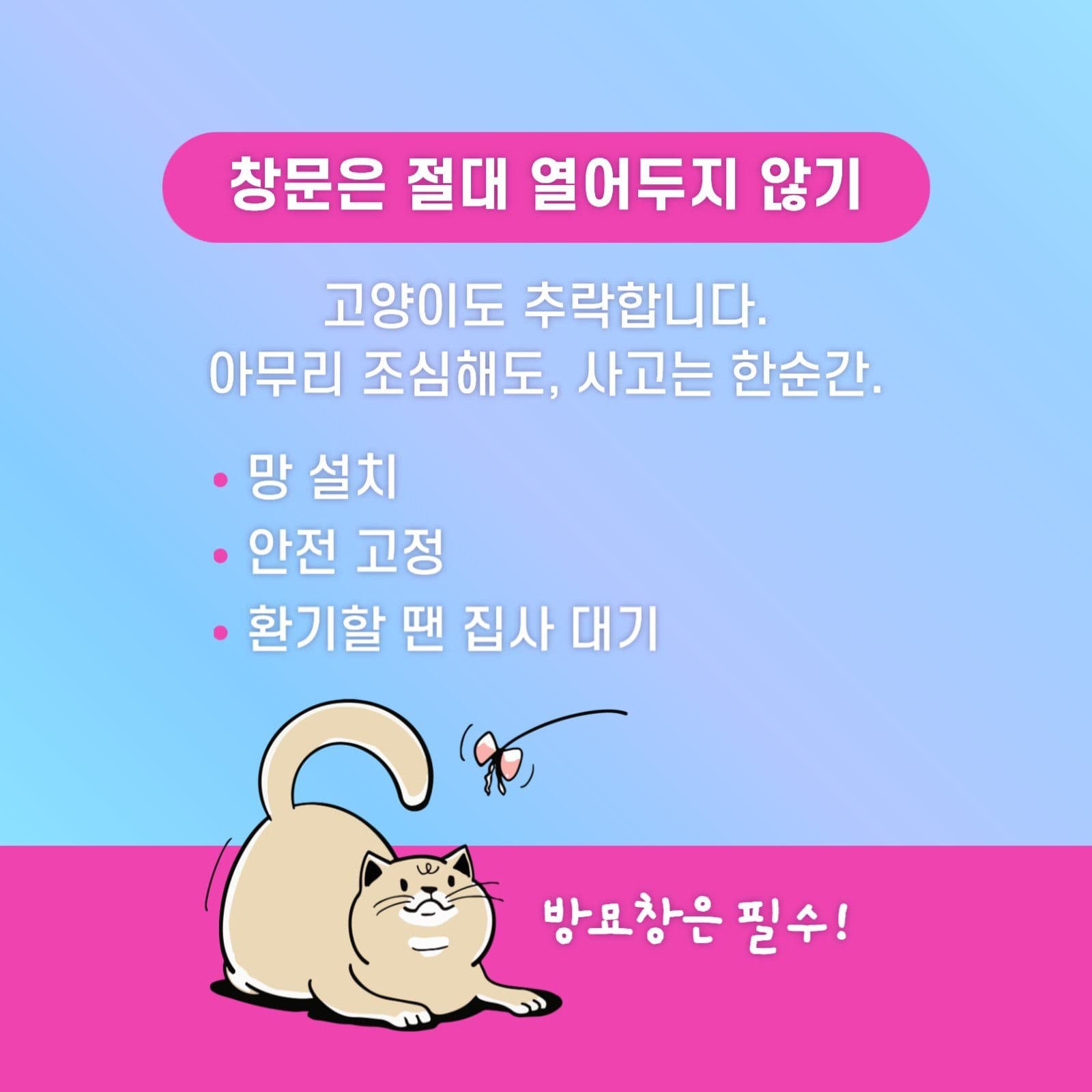 고양이와 집사