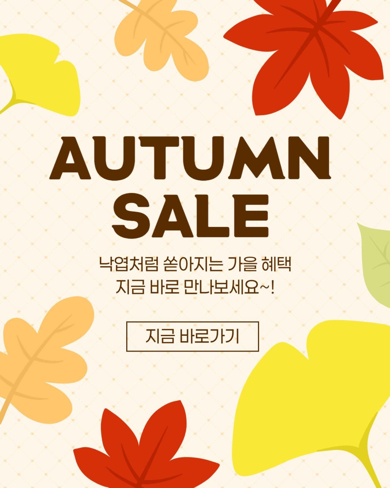 가을 할인 이벤트