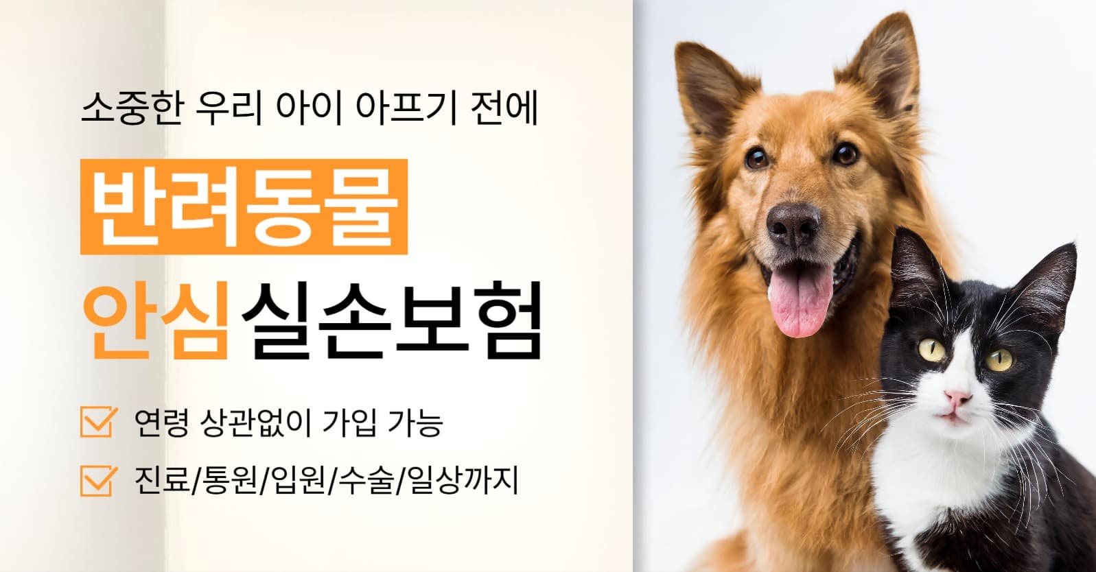 반려동물 안심 보험 홍보