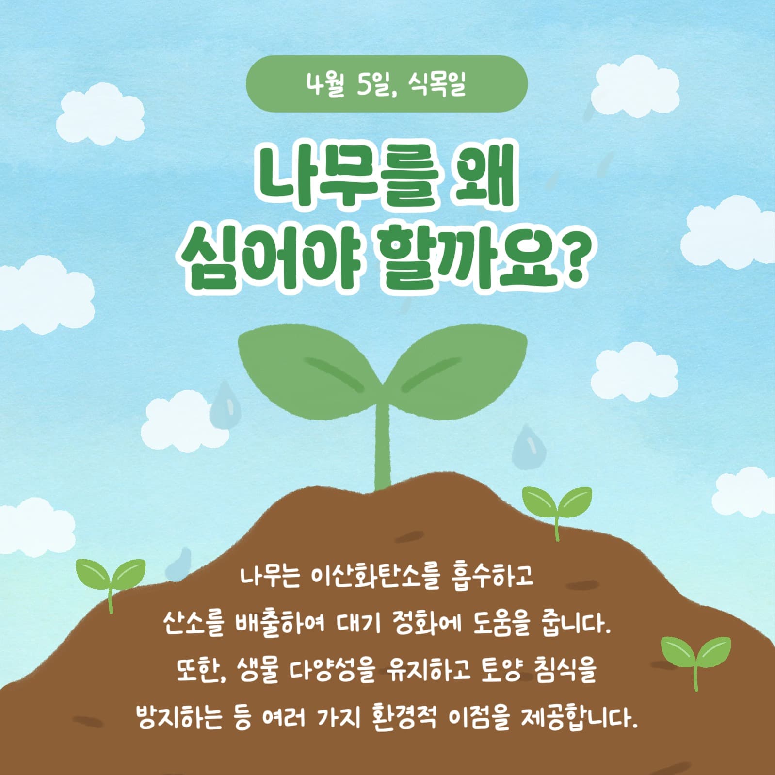 식목일의 모든 것 카드뉴스