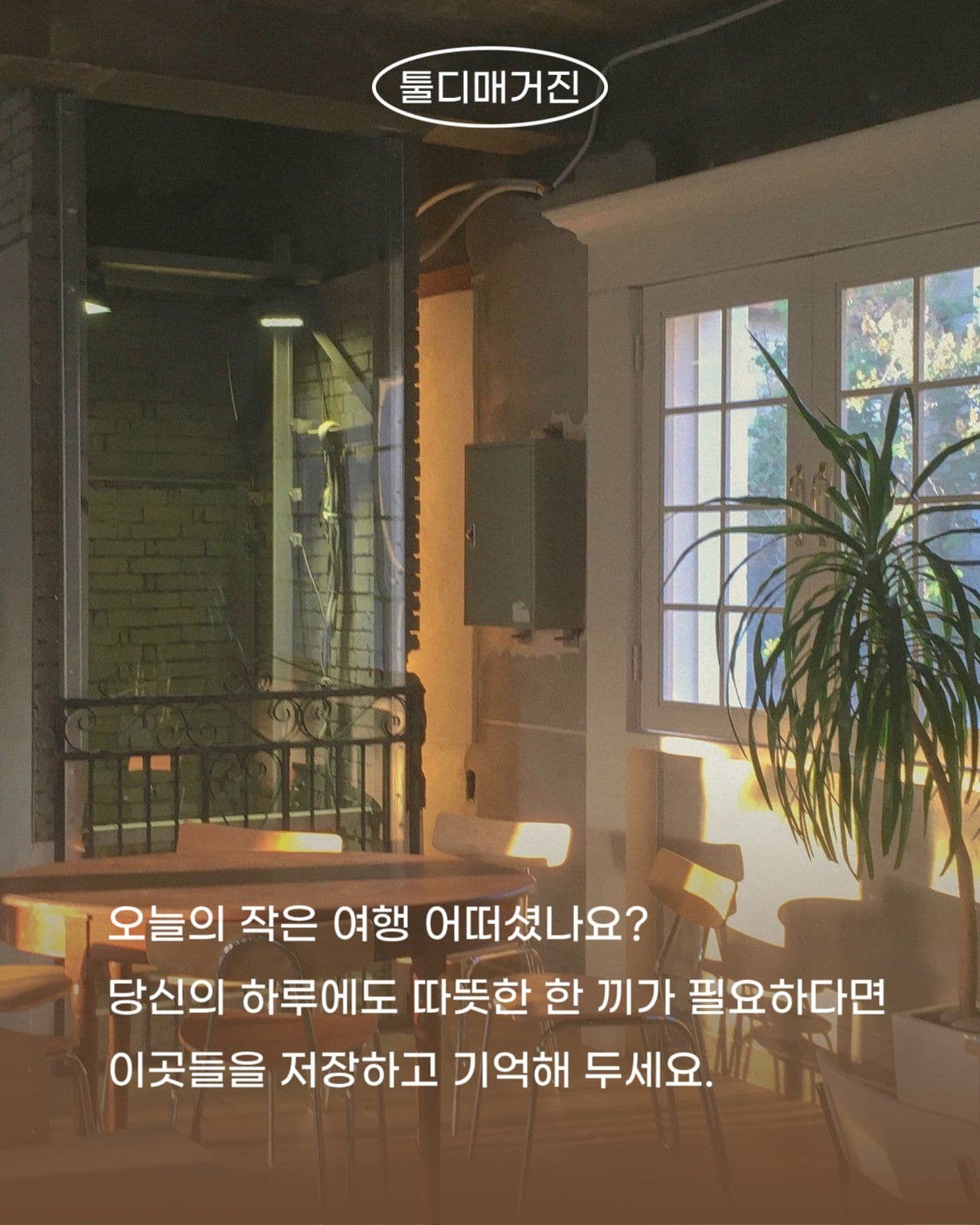 소셜미디어 피드 매거진 맛집 카드뉴스