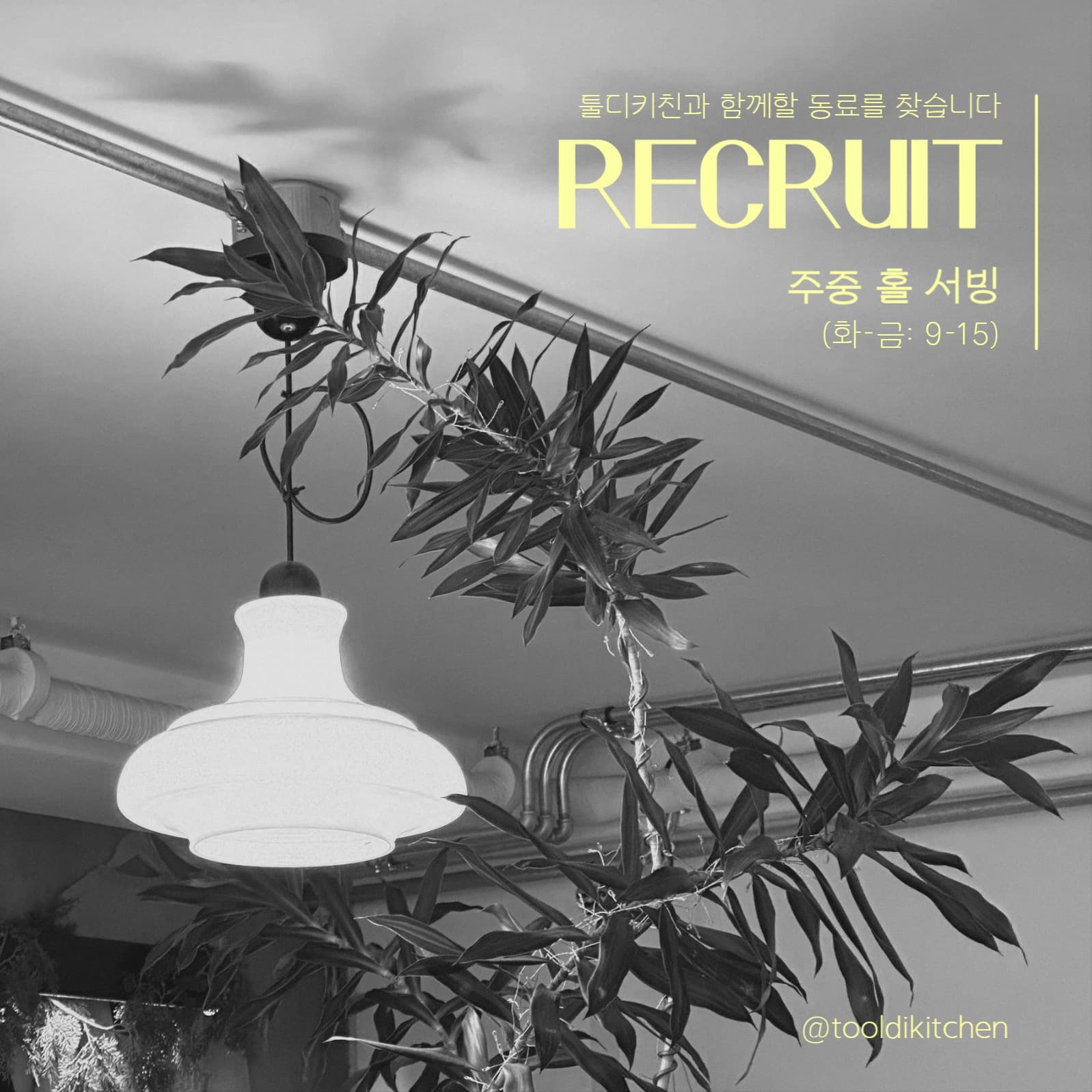 레스토랑 스태프 채용 공고 포스트