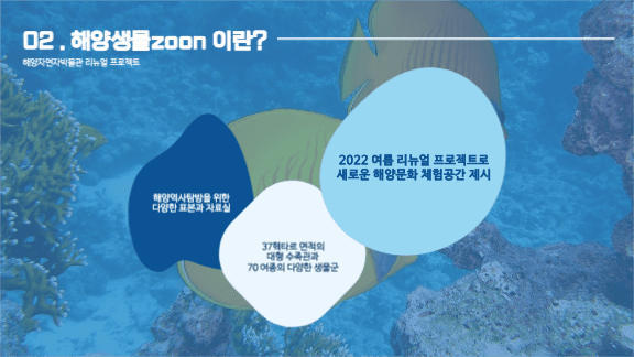 리뉴얼 프로젝트 제안 프레젠테이션