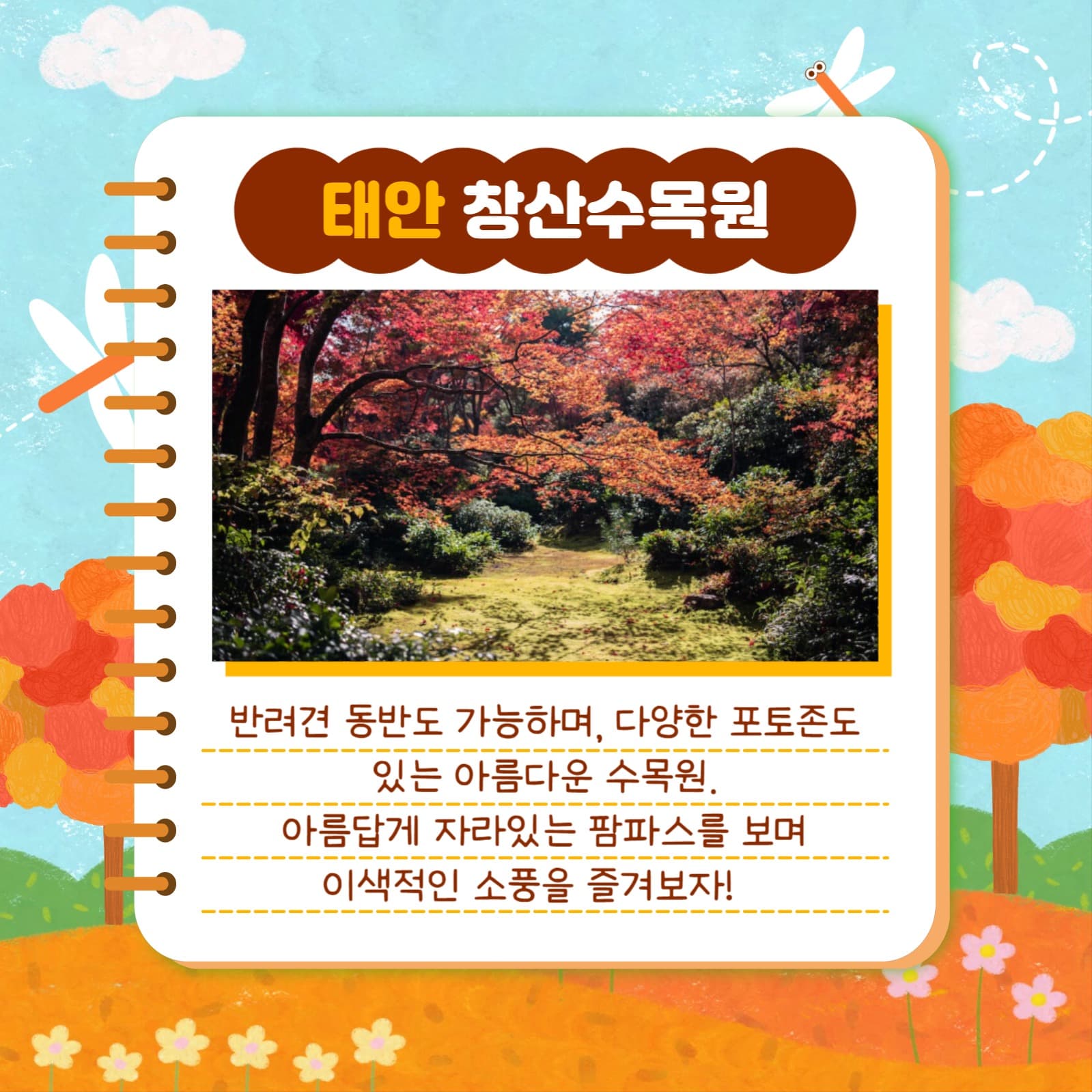 가을 소풍 장소 추천 카드뉴스