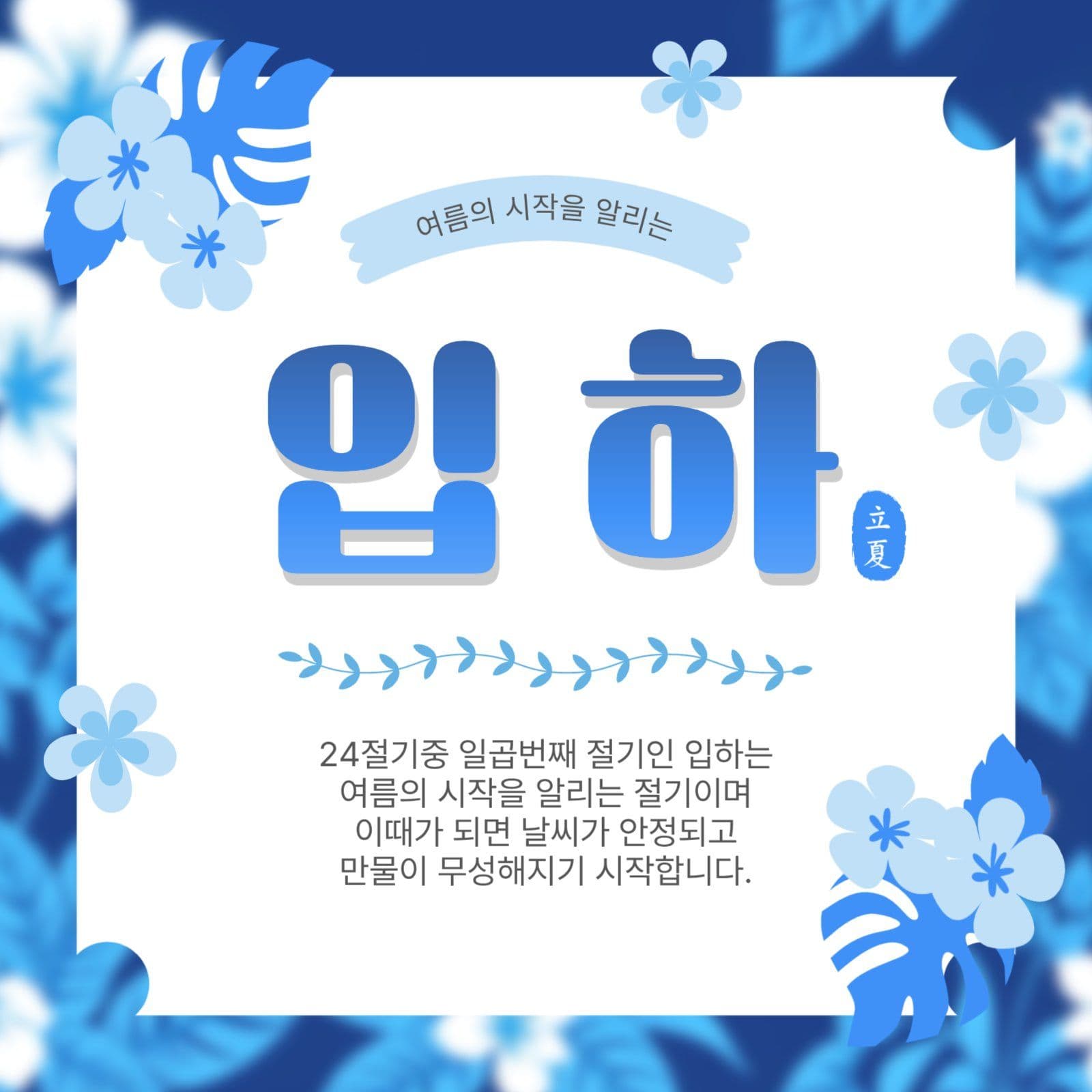 여름의시작입하