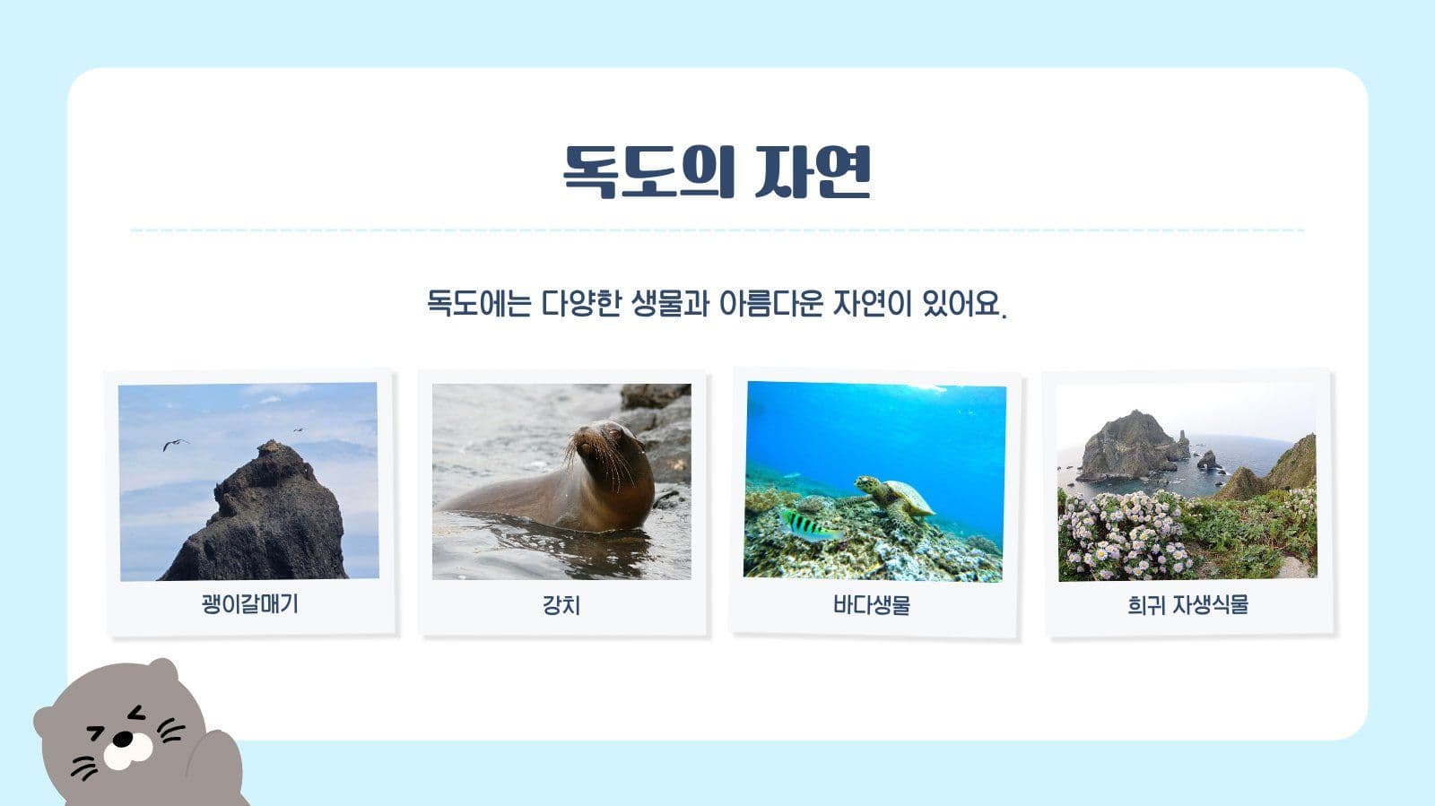 독도의 날 프레젠테이션 캠페인 템플릿