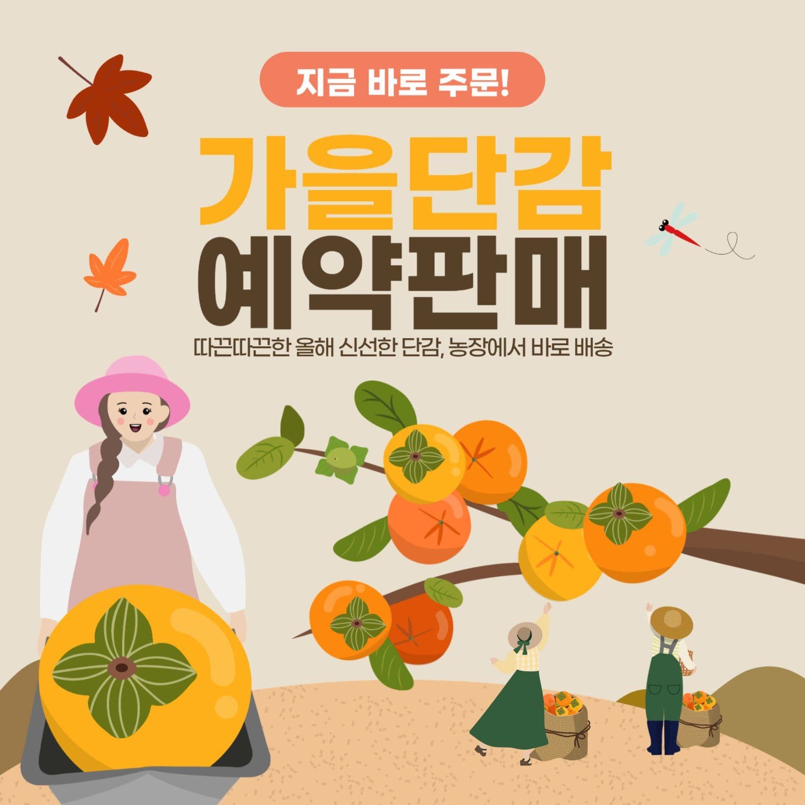 가을단감예약판매