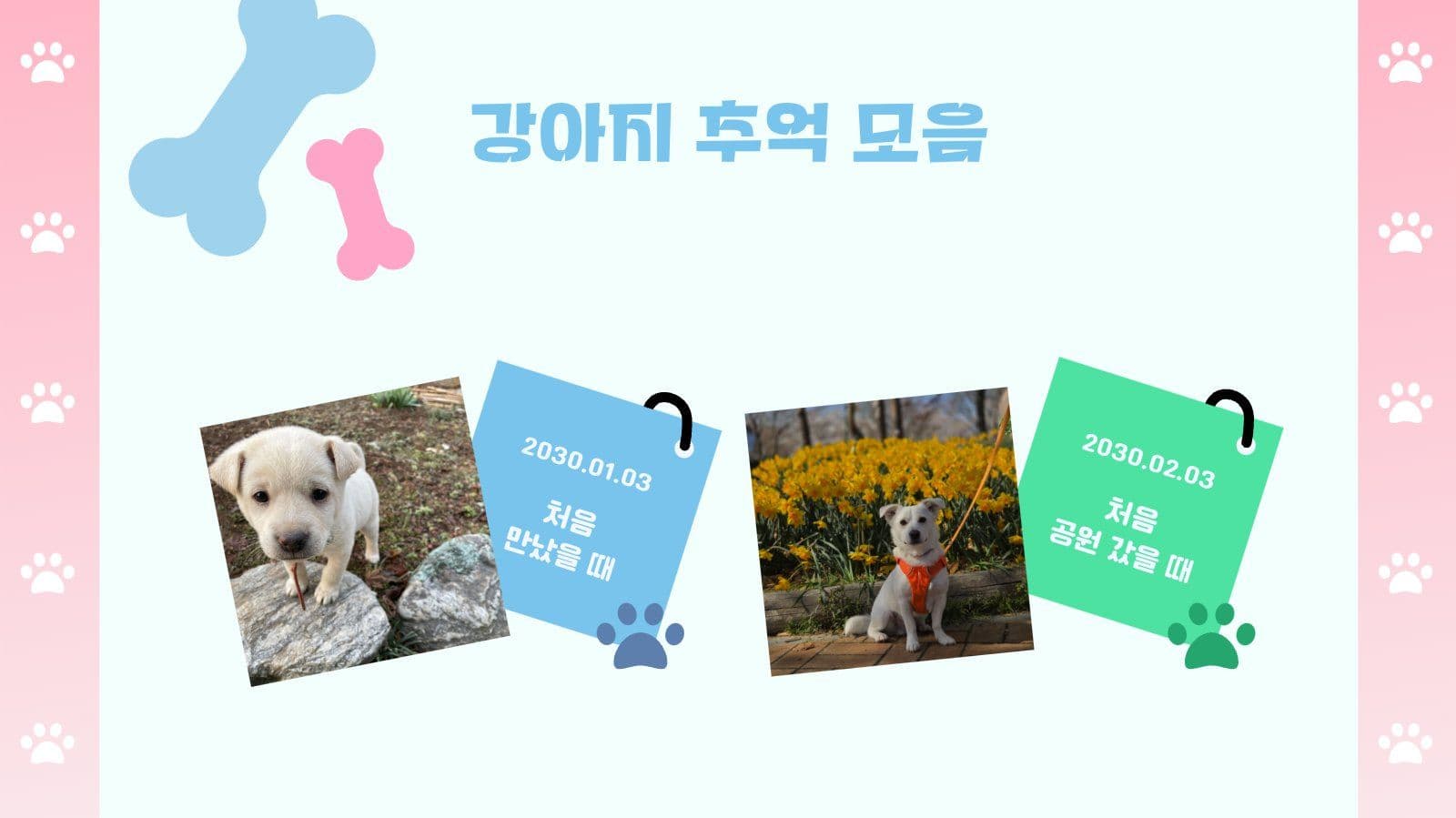 우리집 강아지 소개 PPT