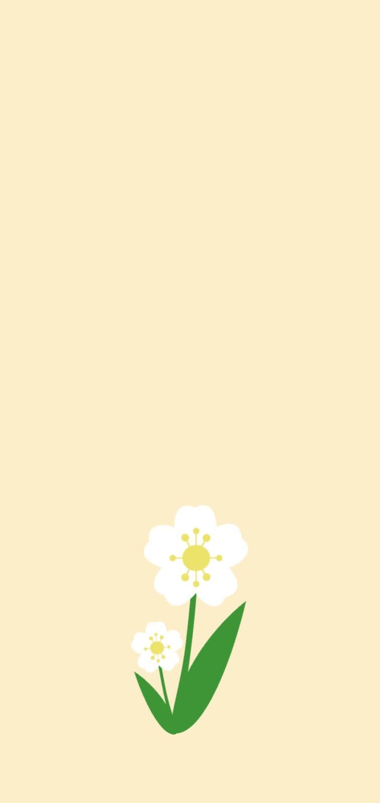 노랑 데이지꽃 배경화면