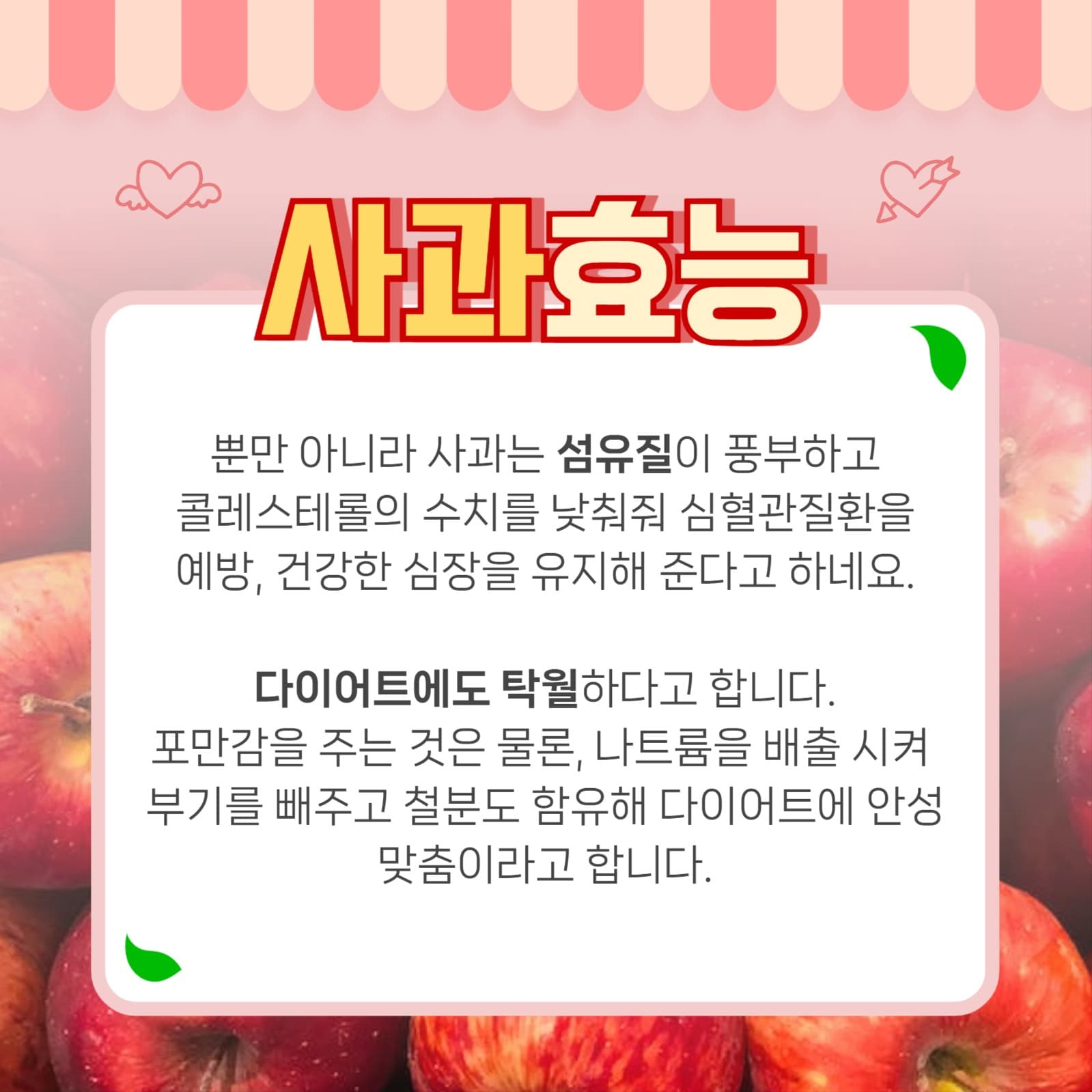 사과 템플릿