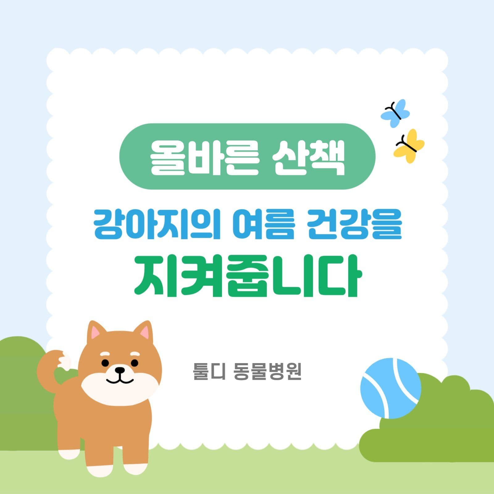 연두색 여름철 강아지 산책 안내