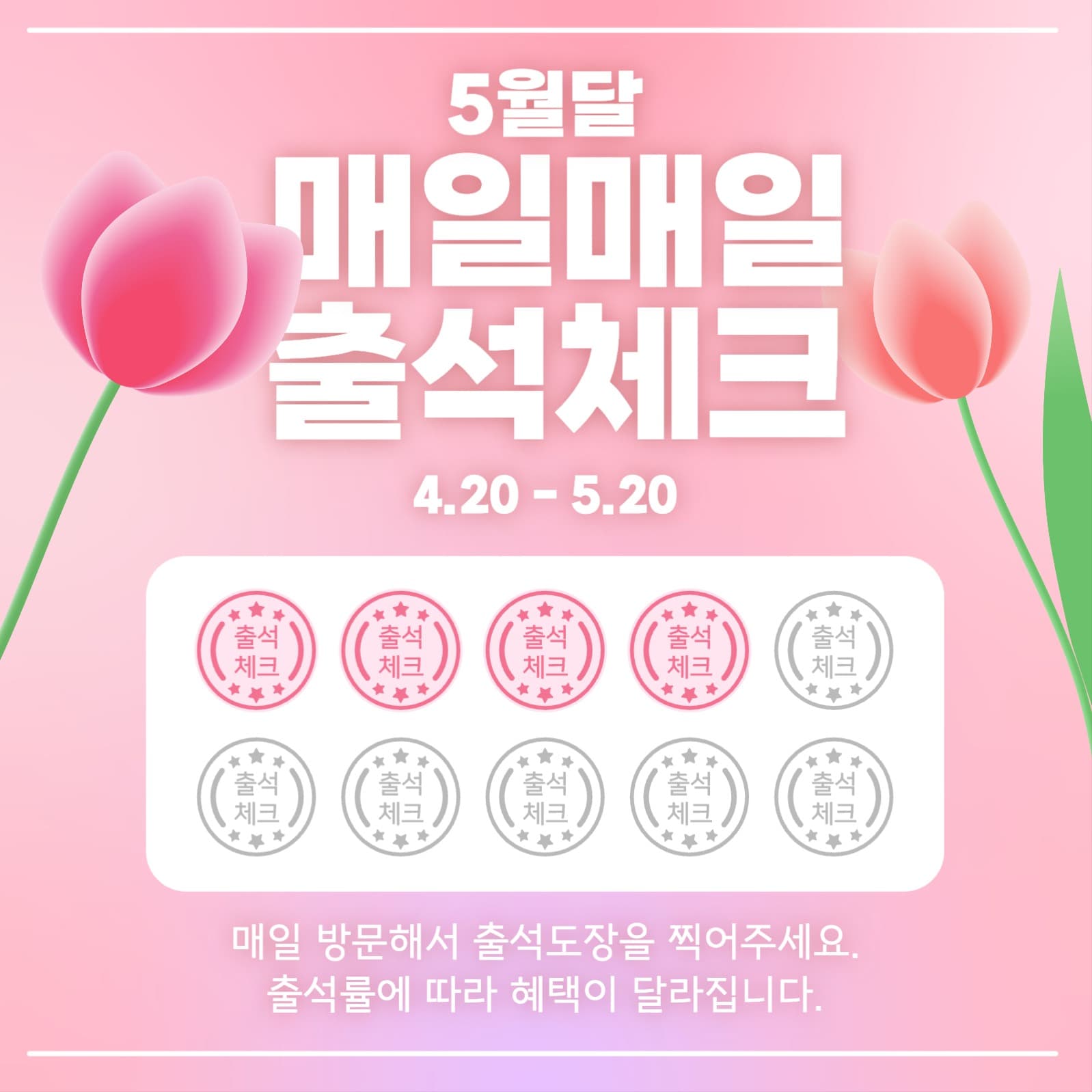 매일매일 출석체크