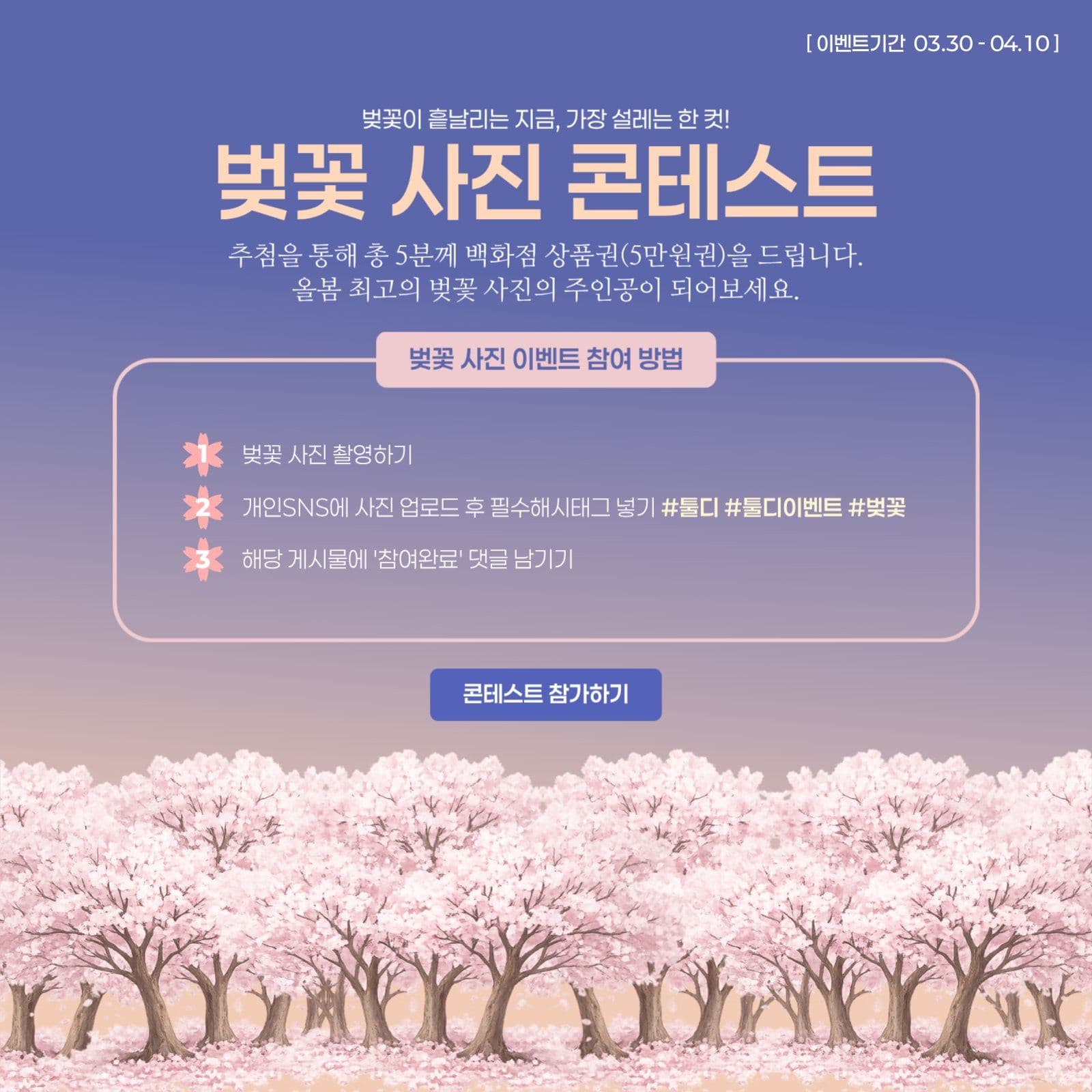 벚꽃 사진 콘테스트 이벤트