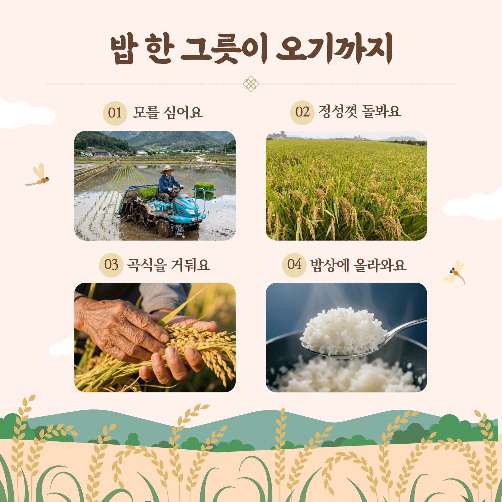 농업인의 날 감사 인사 어린이집 카드뉴스 템플릿
