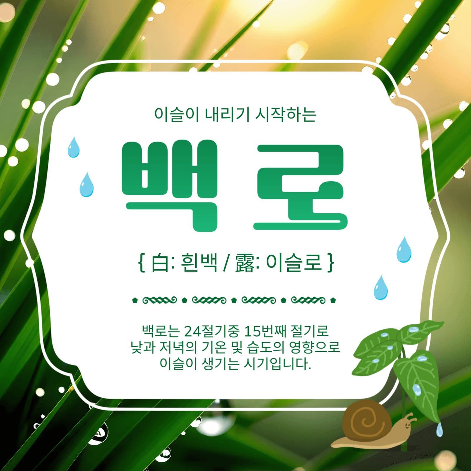 이슬이내리는백로