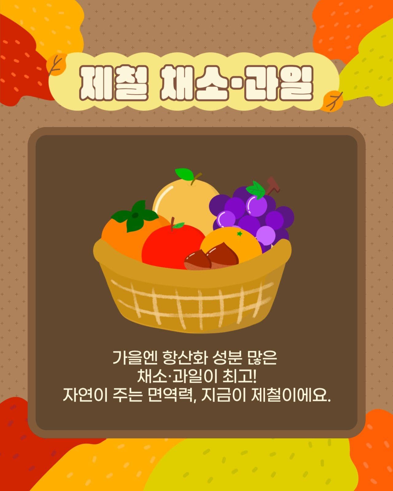 가을건강관리