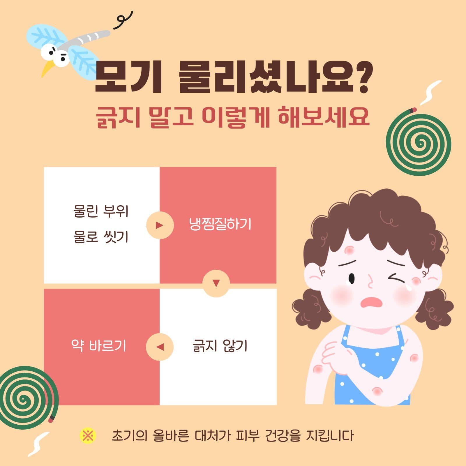 모기 물림 대처법 안내 