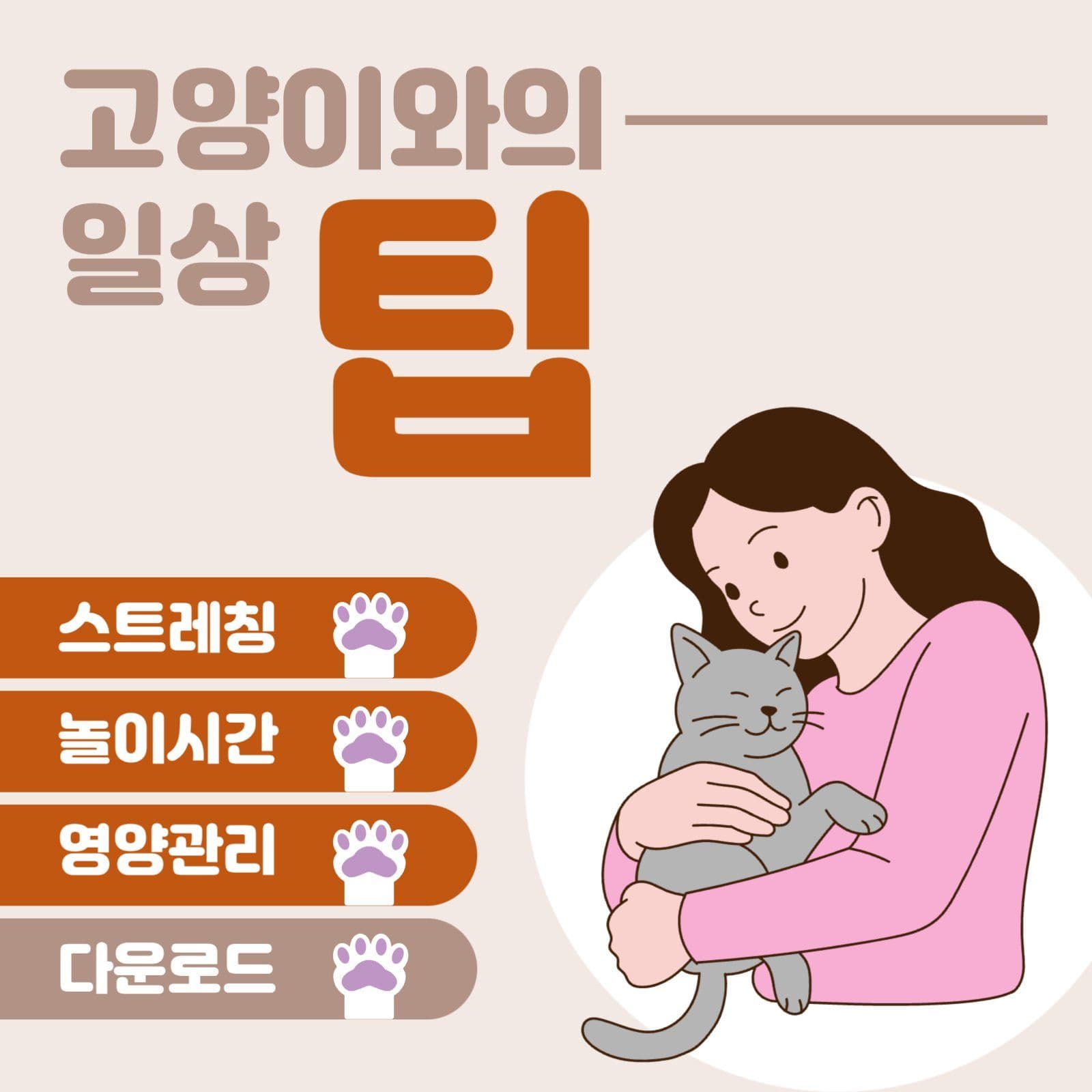 고양이와의 일상 팁
