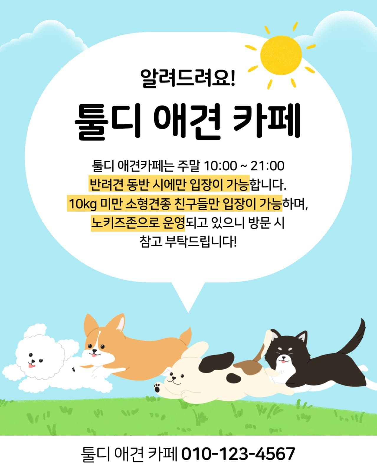 애견 카페 알려드려요!