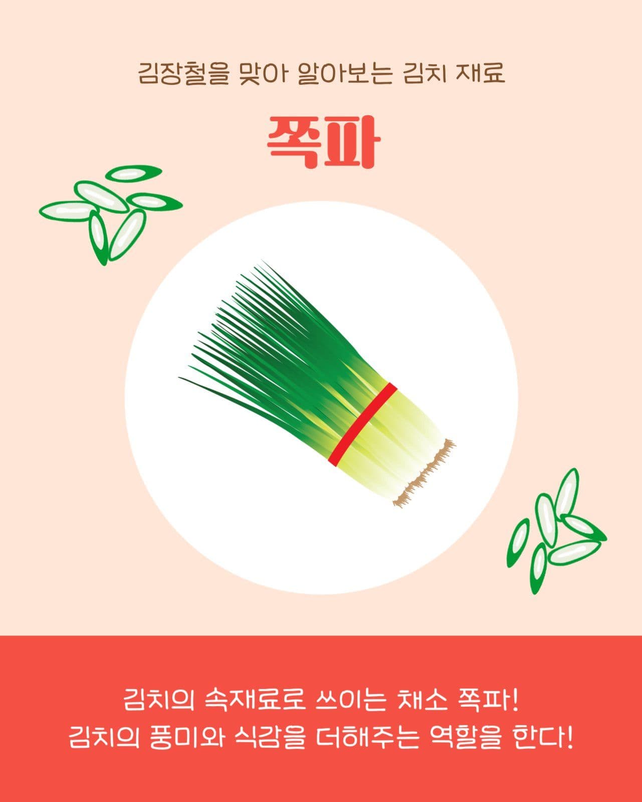 김장 김치 재료 모음