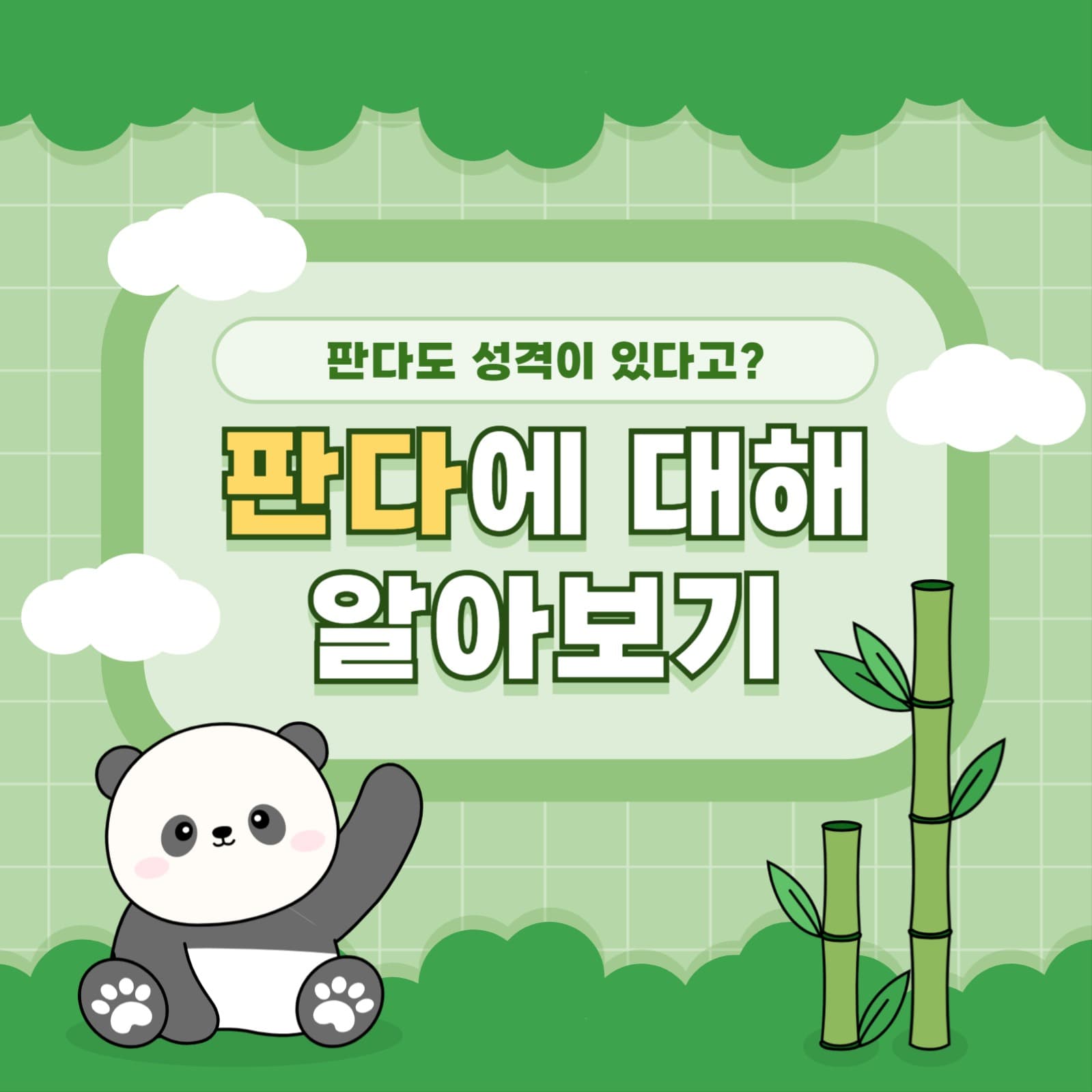 판다 템플릿