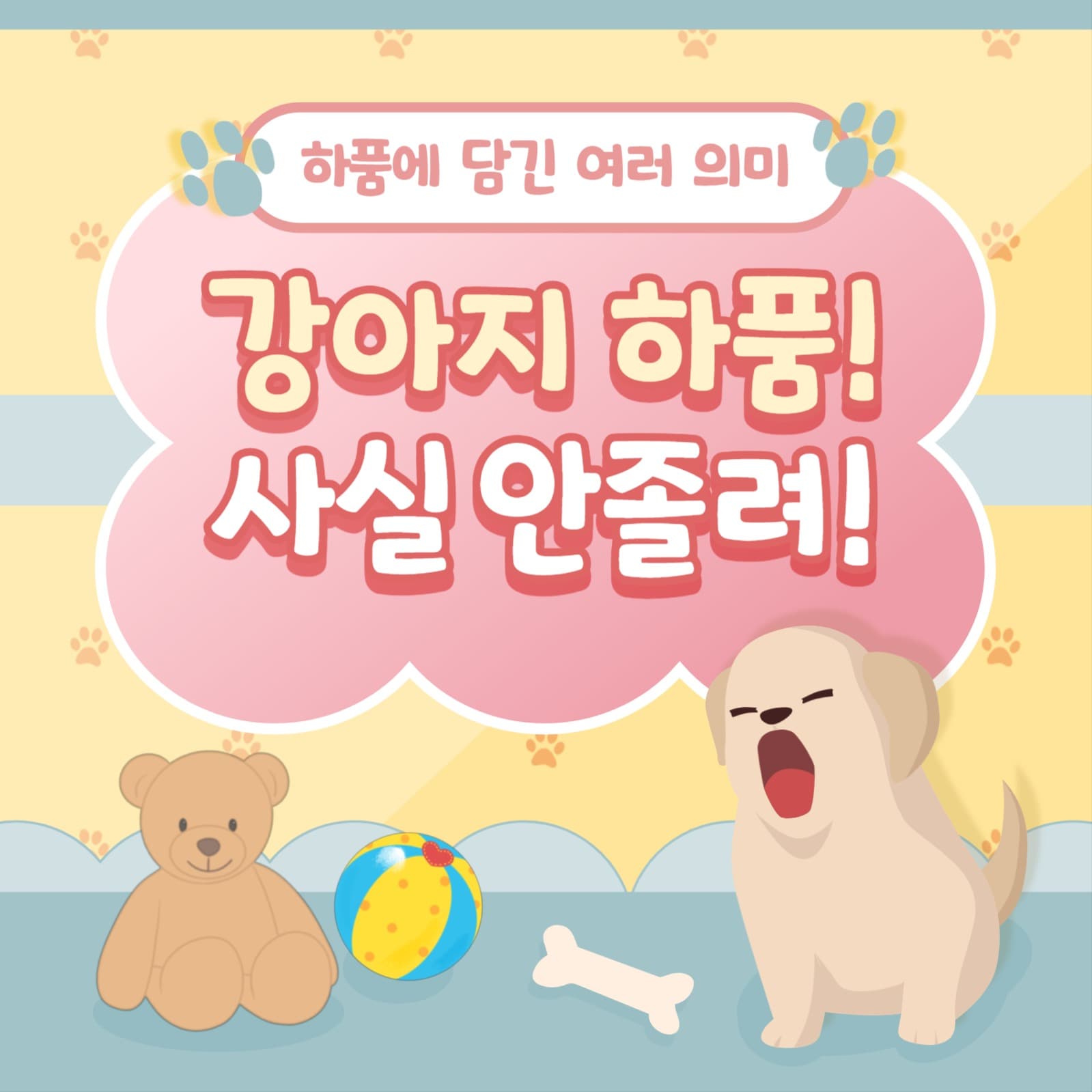 강아지 하품 알기