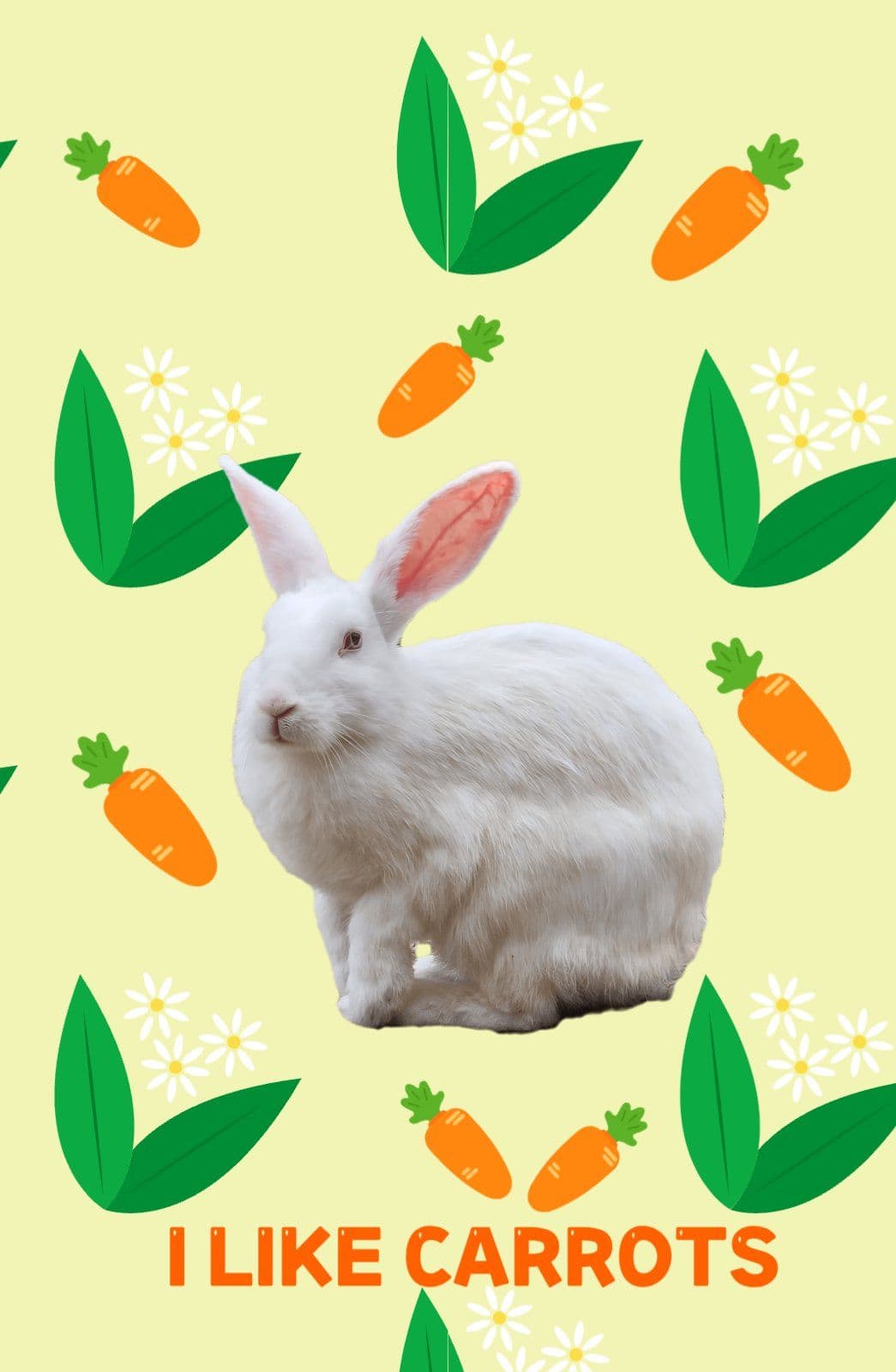 I LOVE CARROTS