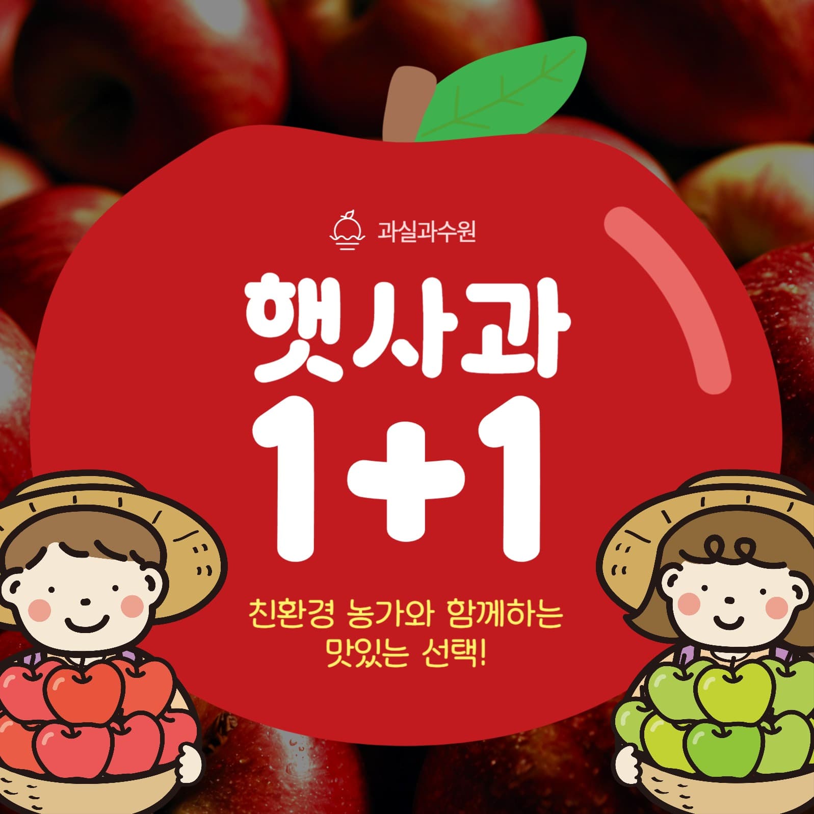 사과농장 과수원 햇사과 1+1 이벤트