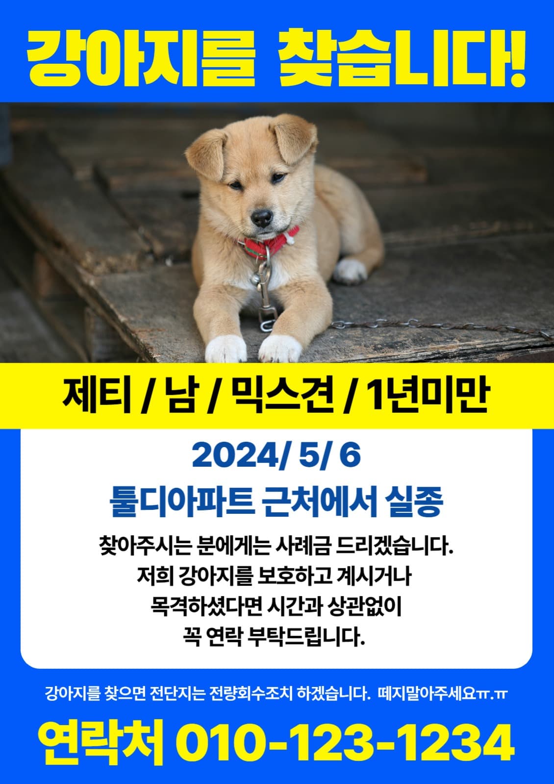강아지를 찾습니다.