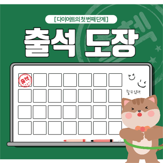 운동인스타 출첵 피드 (한달치)