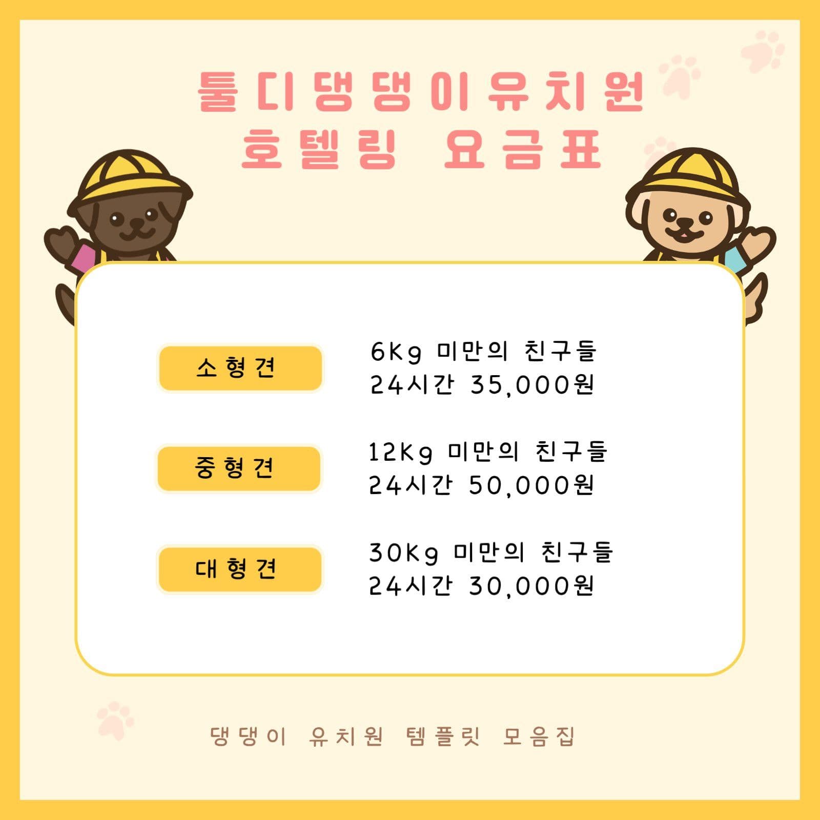 강아지 유치원 모집 카드뉴스