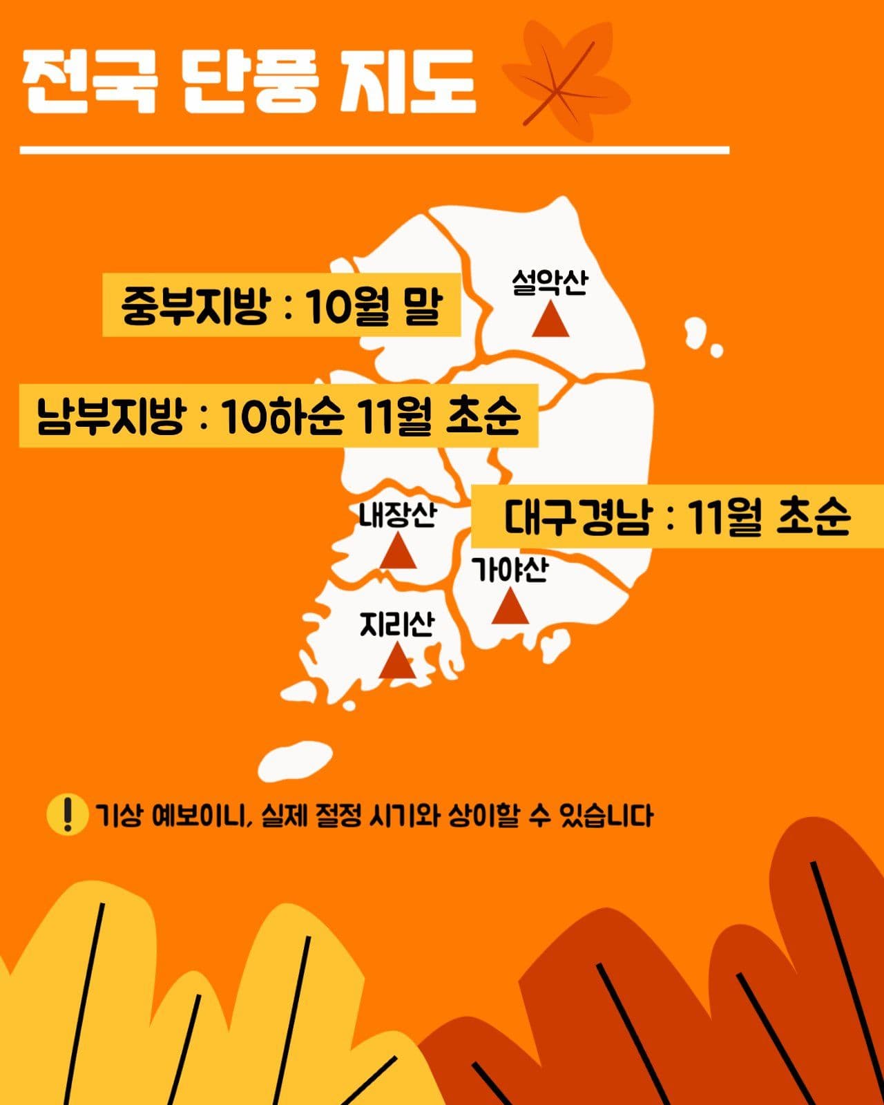 반려동물동반가을여행