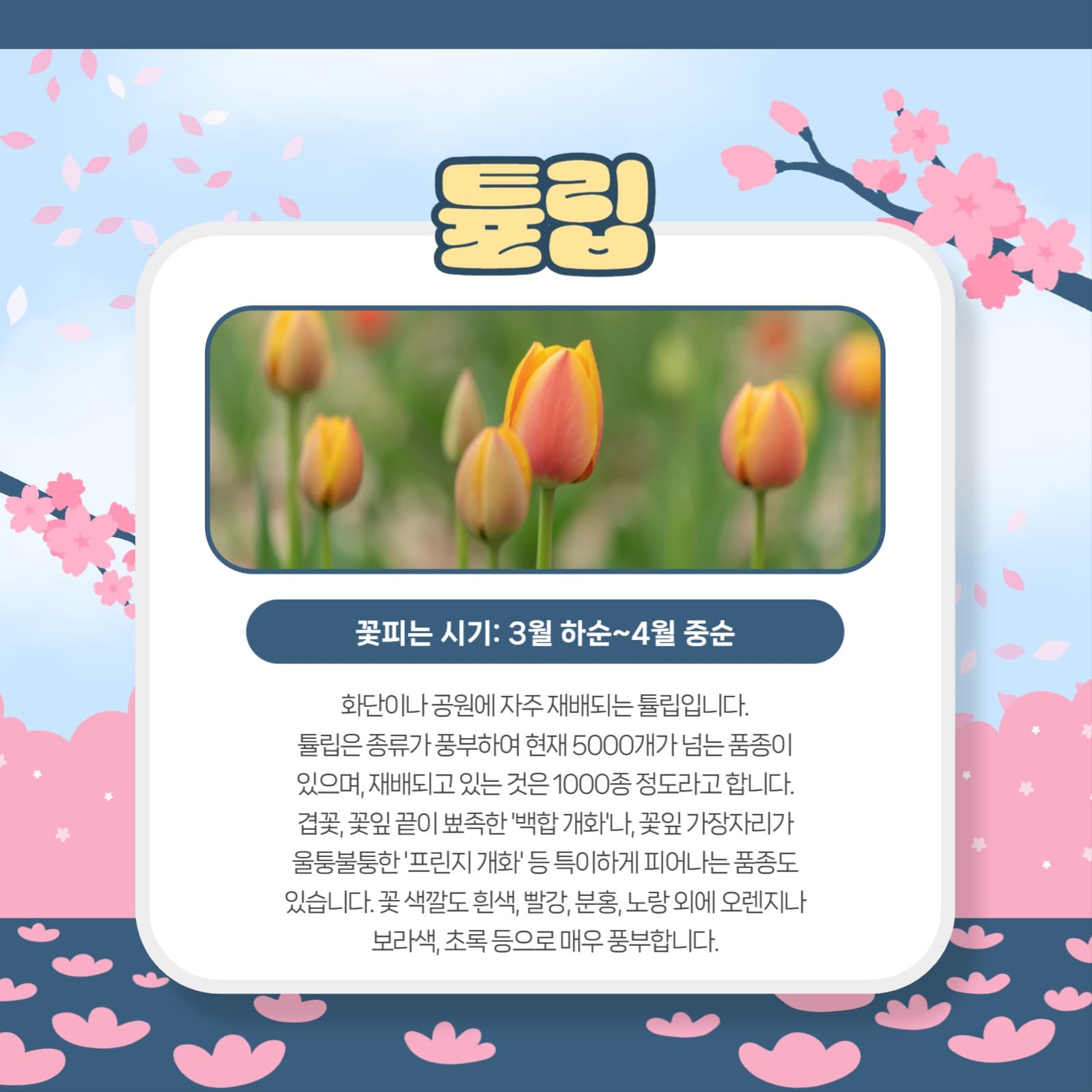 봄꽃 모음