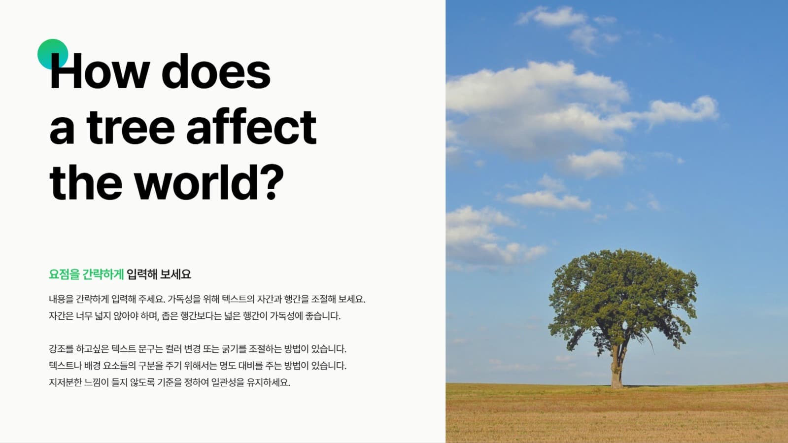 활용도가 높은 숲 PPT 템플릿