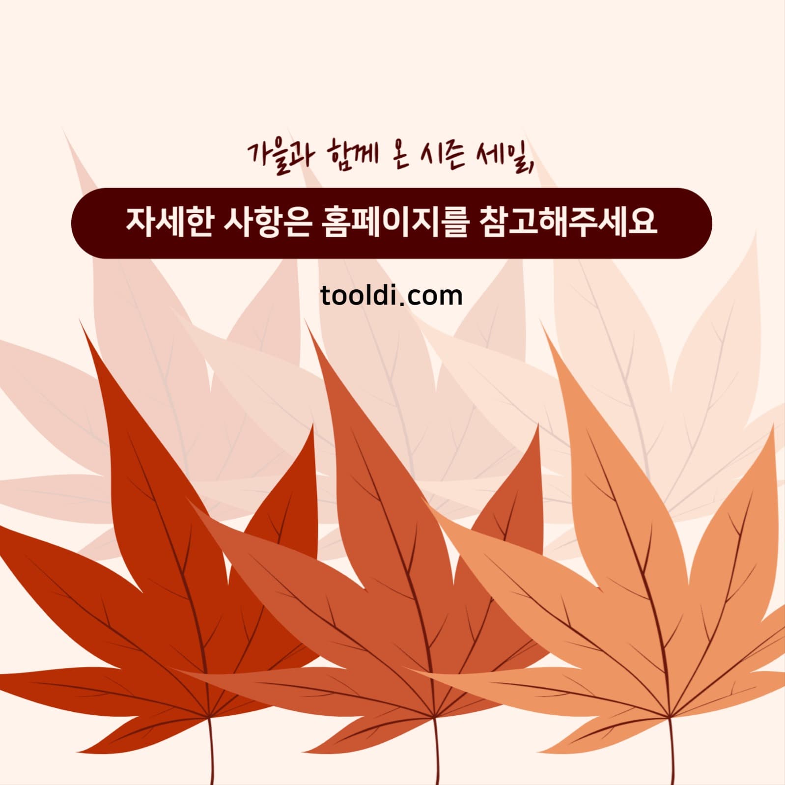 가을 시즌 세일 피드