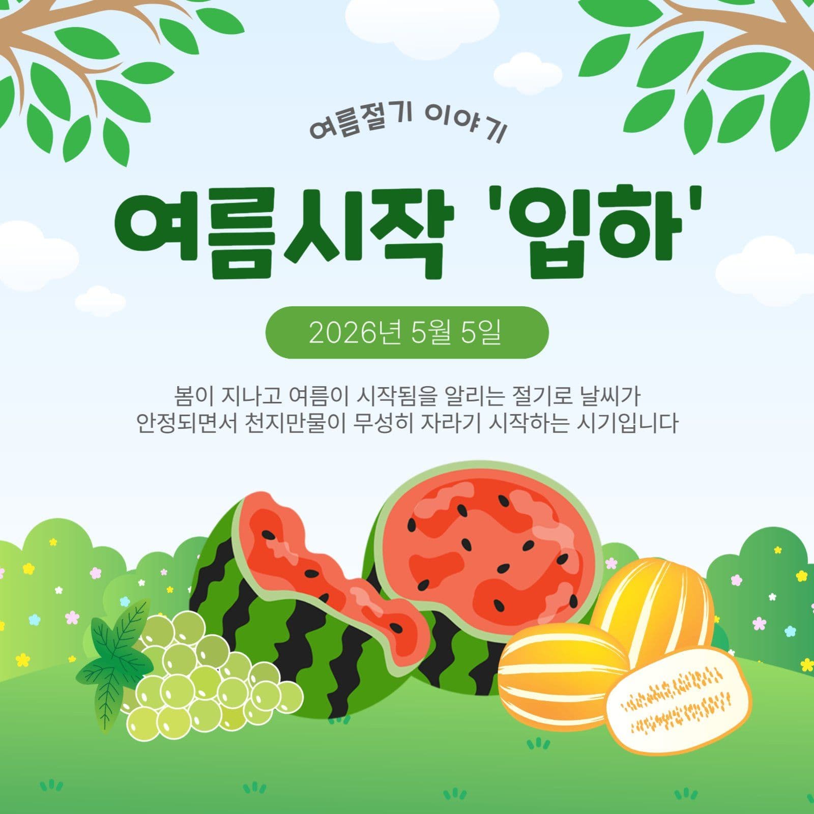 여름시작입하
