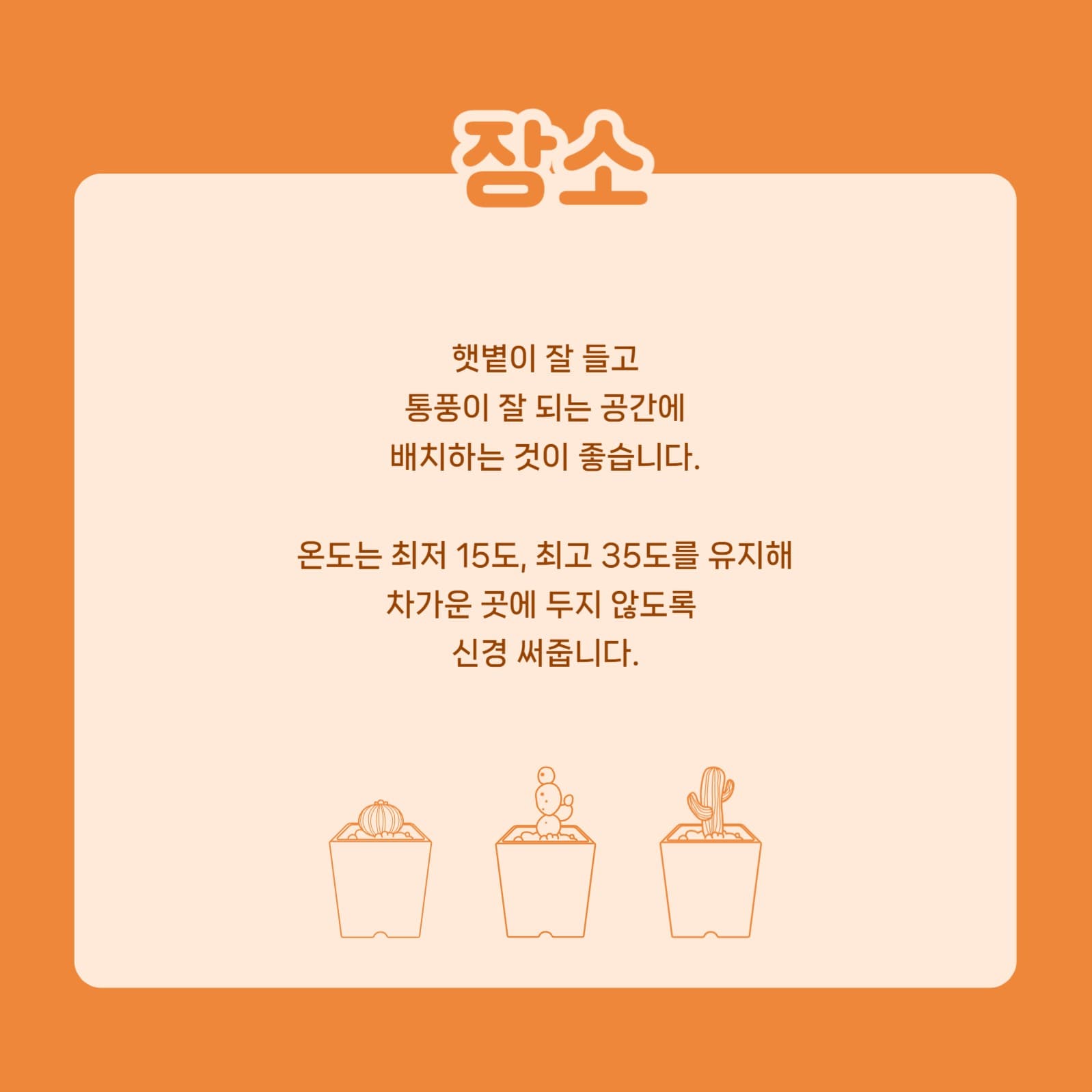 선인장 키우기 카드뉴스