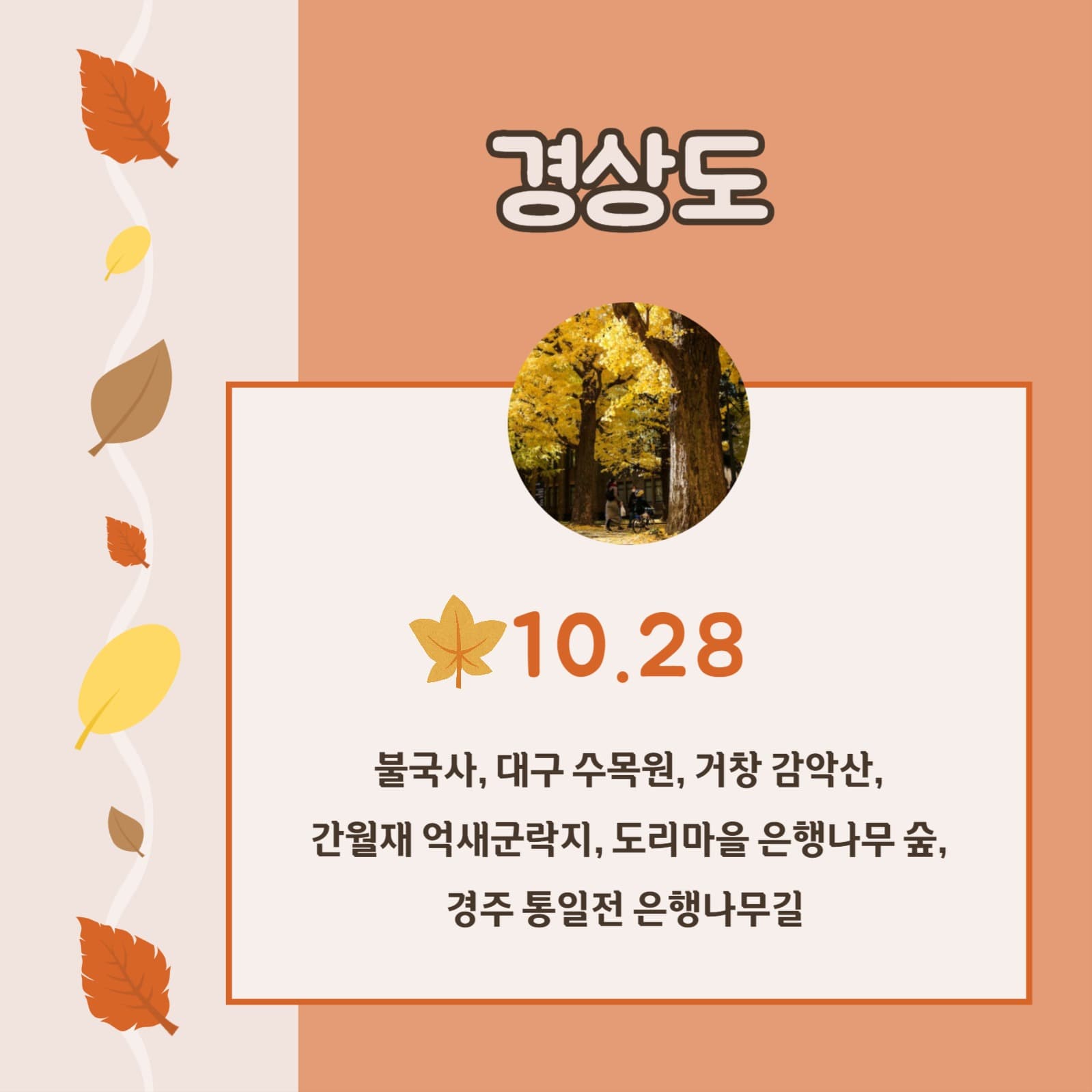 단풍 명소와 절정기 카드뉴스