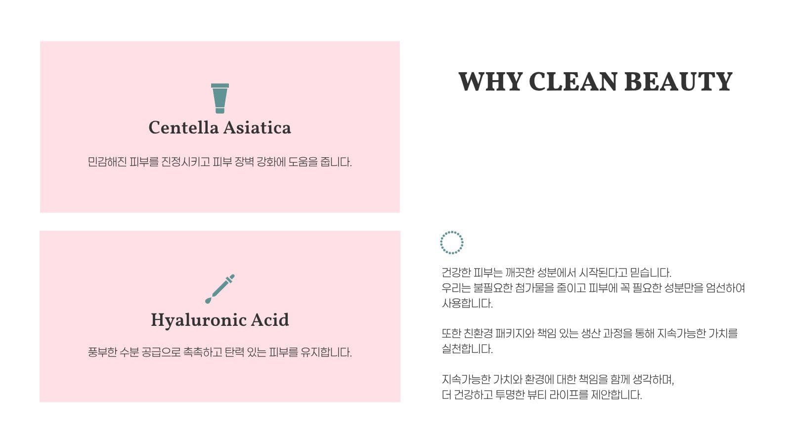 화장품 스킨 케어 브랜드 포트폴리오