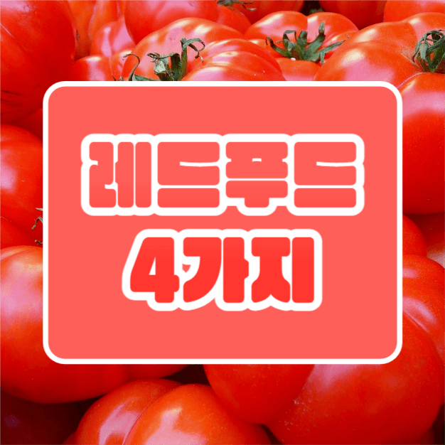 레드푸드 4가지 (카드뉴스)