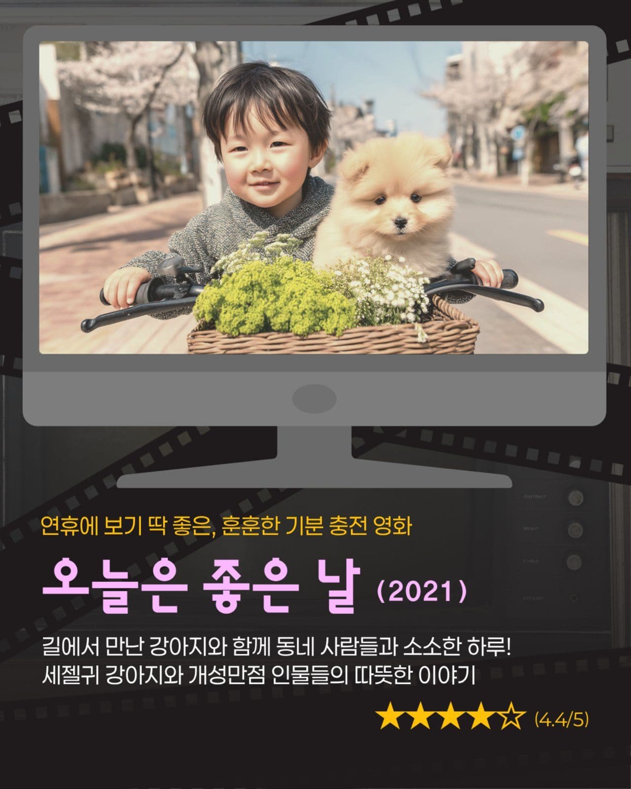 영화 드라마 OTT 콘텐츠 카드뉴스