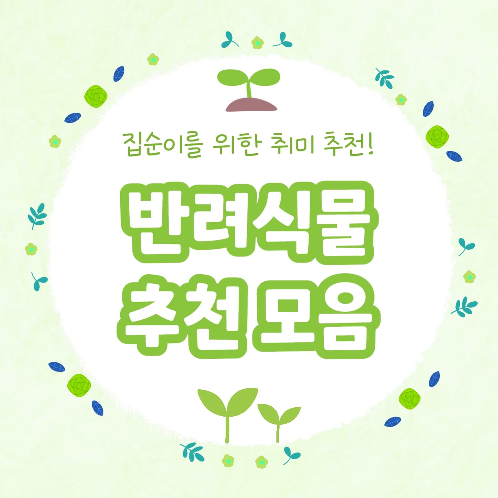 반려식물 추천 모음 카드뉴스
