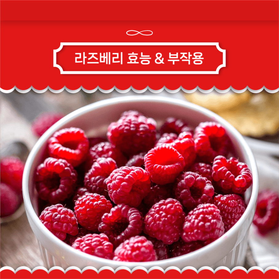 라즈베리 효능 & 부작용 인스타그램