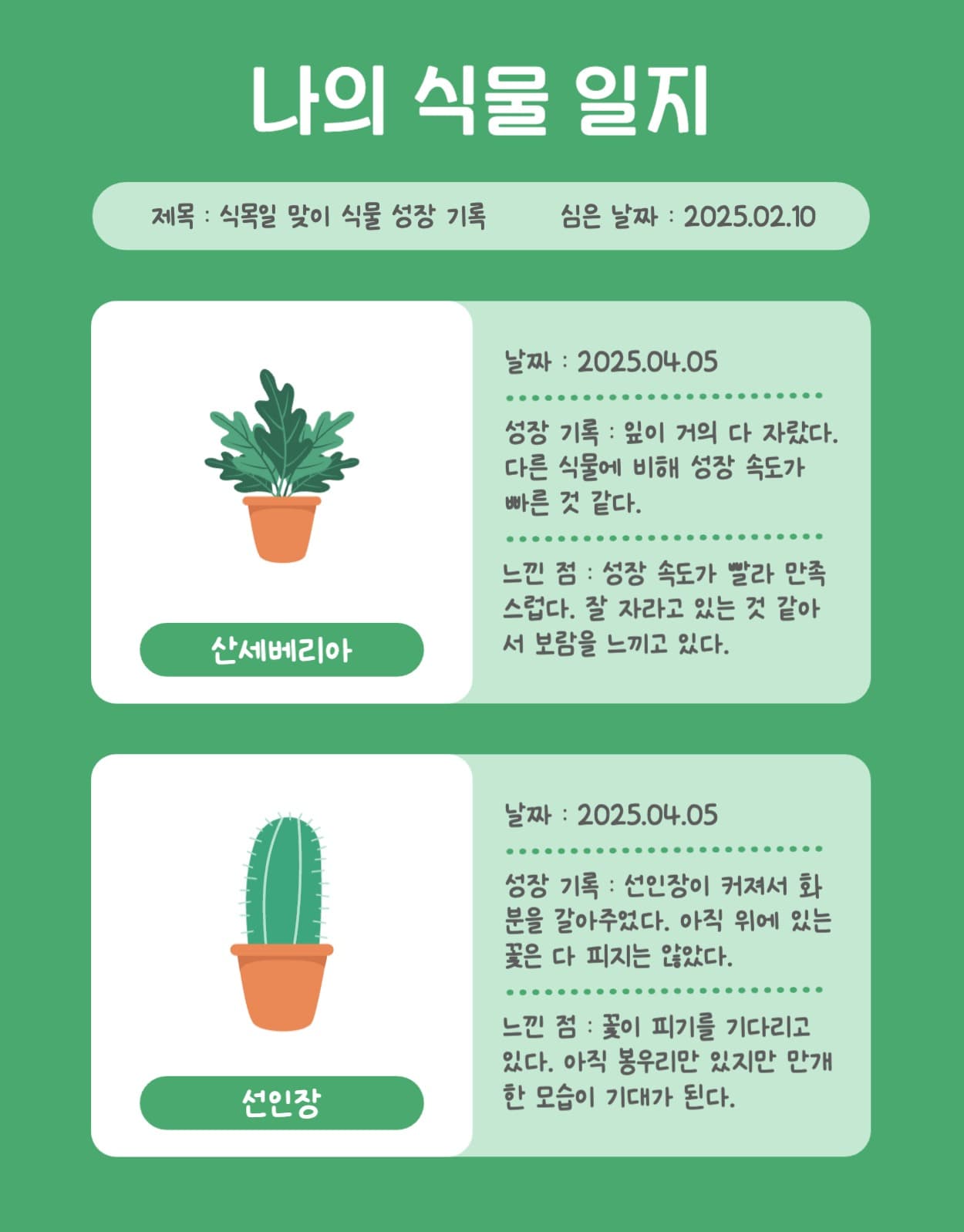 나의 식물 일지