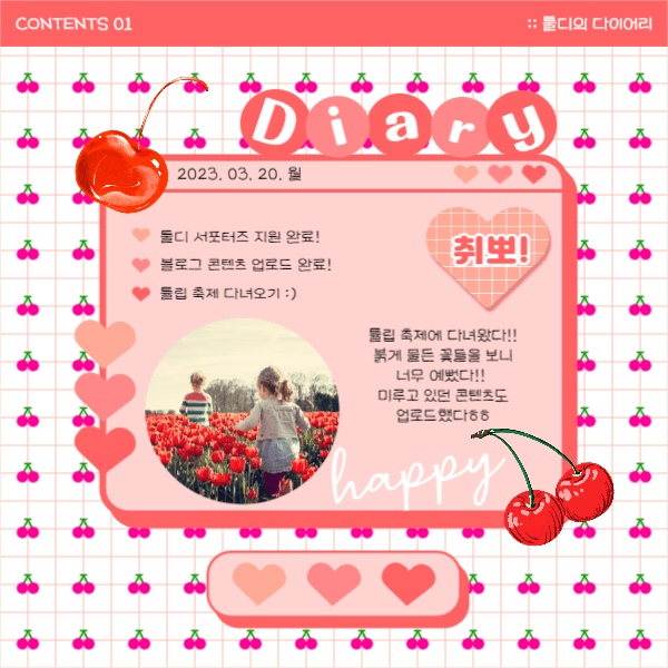 체리 다이어리 (페이스북)